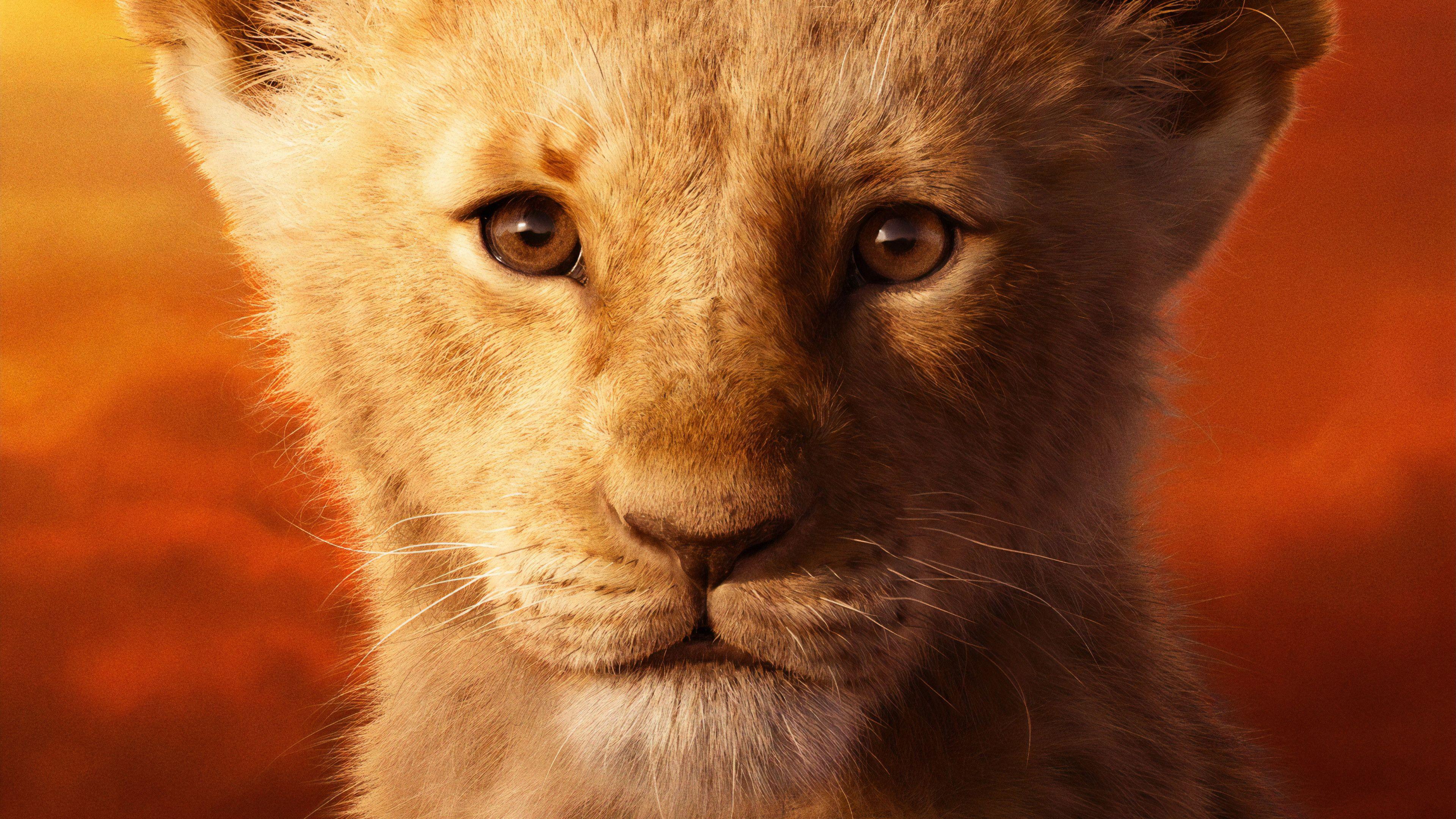 Lion King Simba Wallpapers - Top Free Lion King Simba Backgrounds