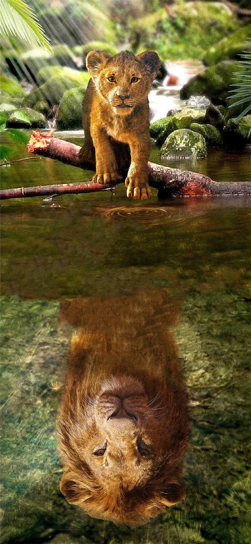 828x1792 the lion king simba 2019 iPhone X Wallpaper Free Download
