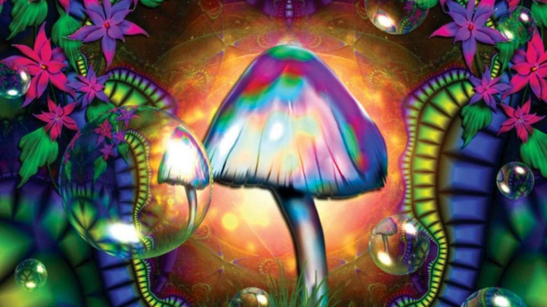 Magic Mushroom Wallpapers - Top Free Magic Mushroom Backgrounds