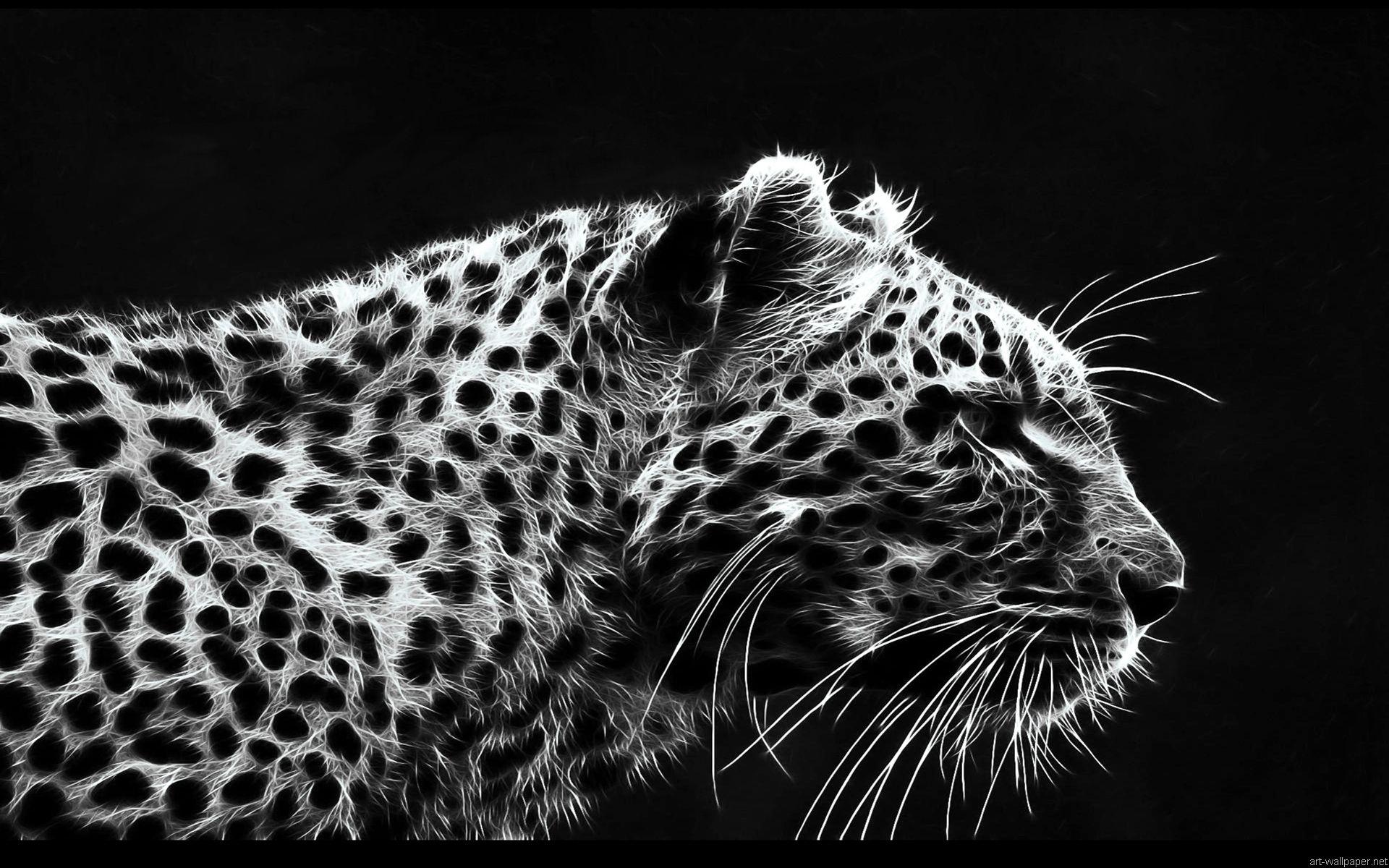 1920x1200 Full HD 1080p White Tiger Tiger Wallpaperizzesmile.