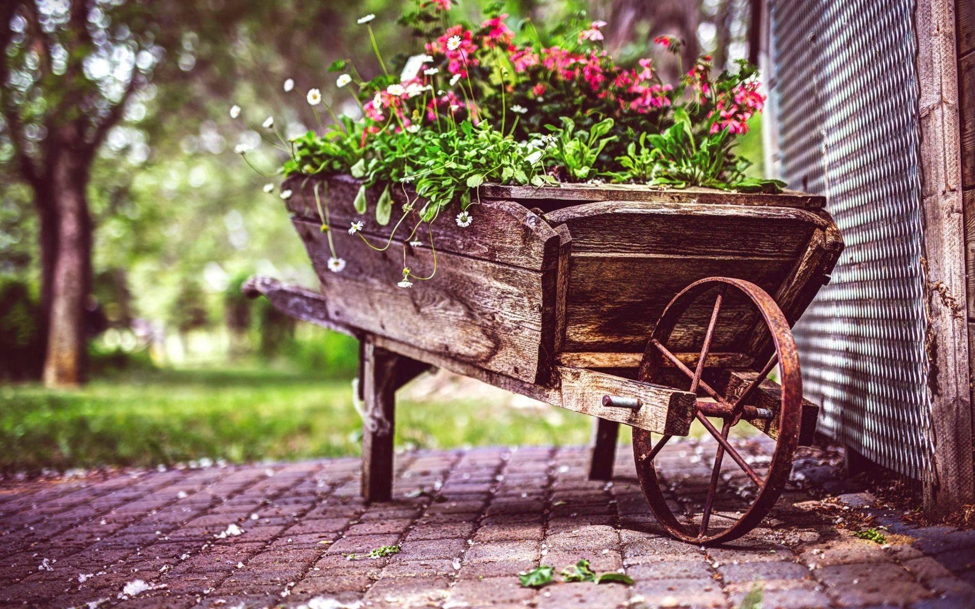 1920x1200 Vintage Flower Pot wallpaper. Nature and Landscape