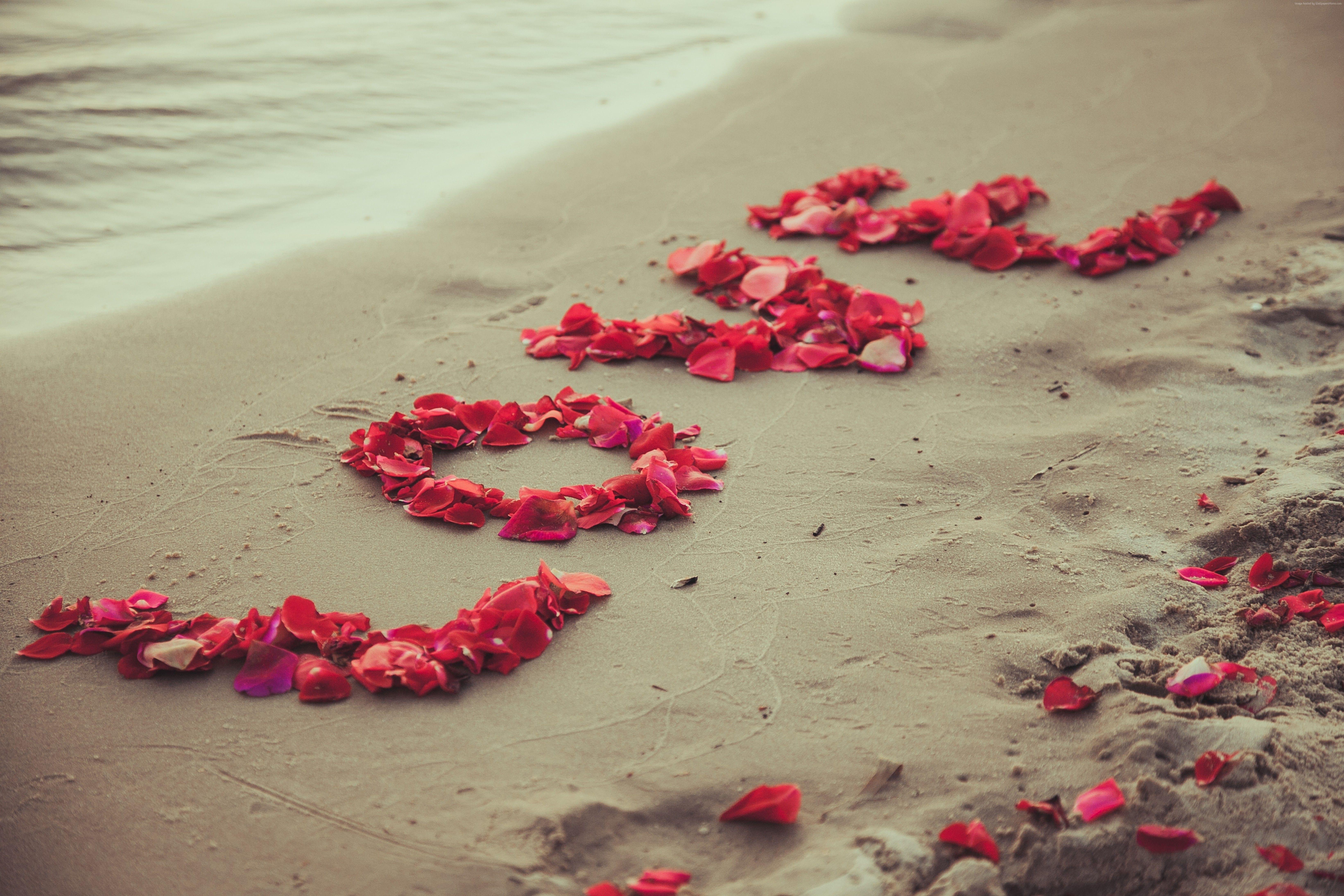 6564x4376 k, #beach, #sea, #love image, #heart, #flowers. Mocah