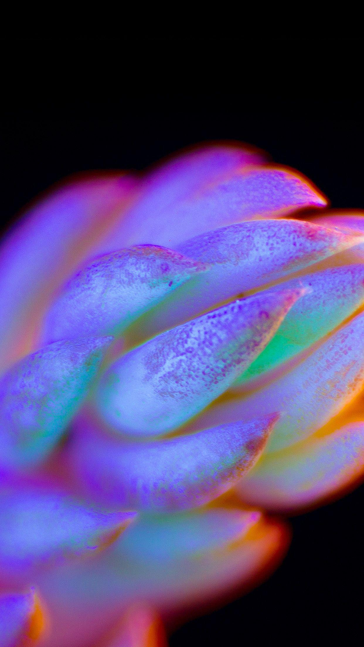1242x2208 Neon Creature Dark Color Flower Art