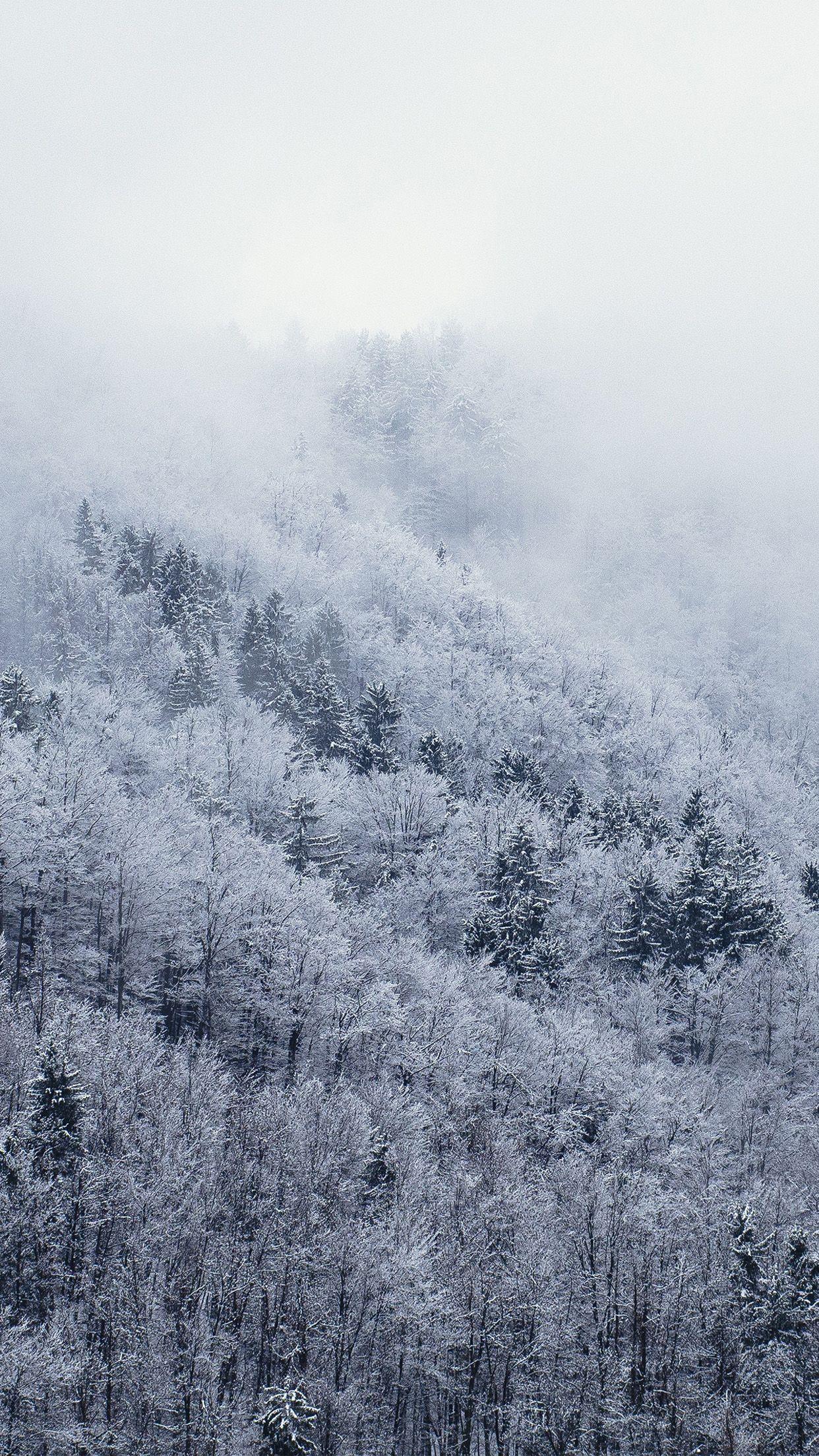 1242x2208 Nl40 Mountain Wood Winter Christmas White Wallpaper