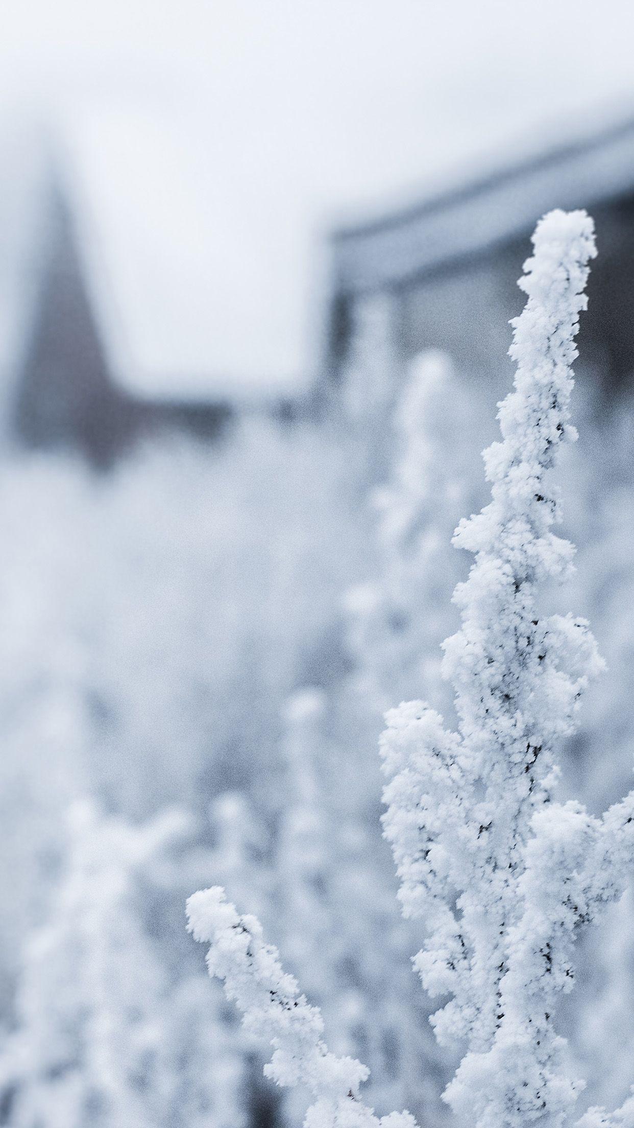 1242x2208 Snow White Winter Flower