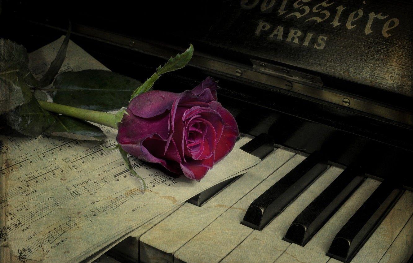 1332x850 Wallpaper flower, notes, rose, piano, vintage image for desktop