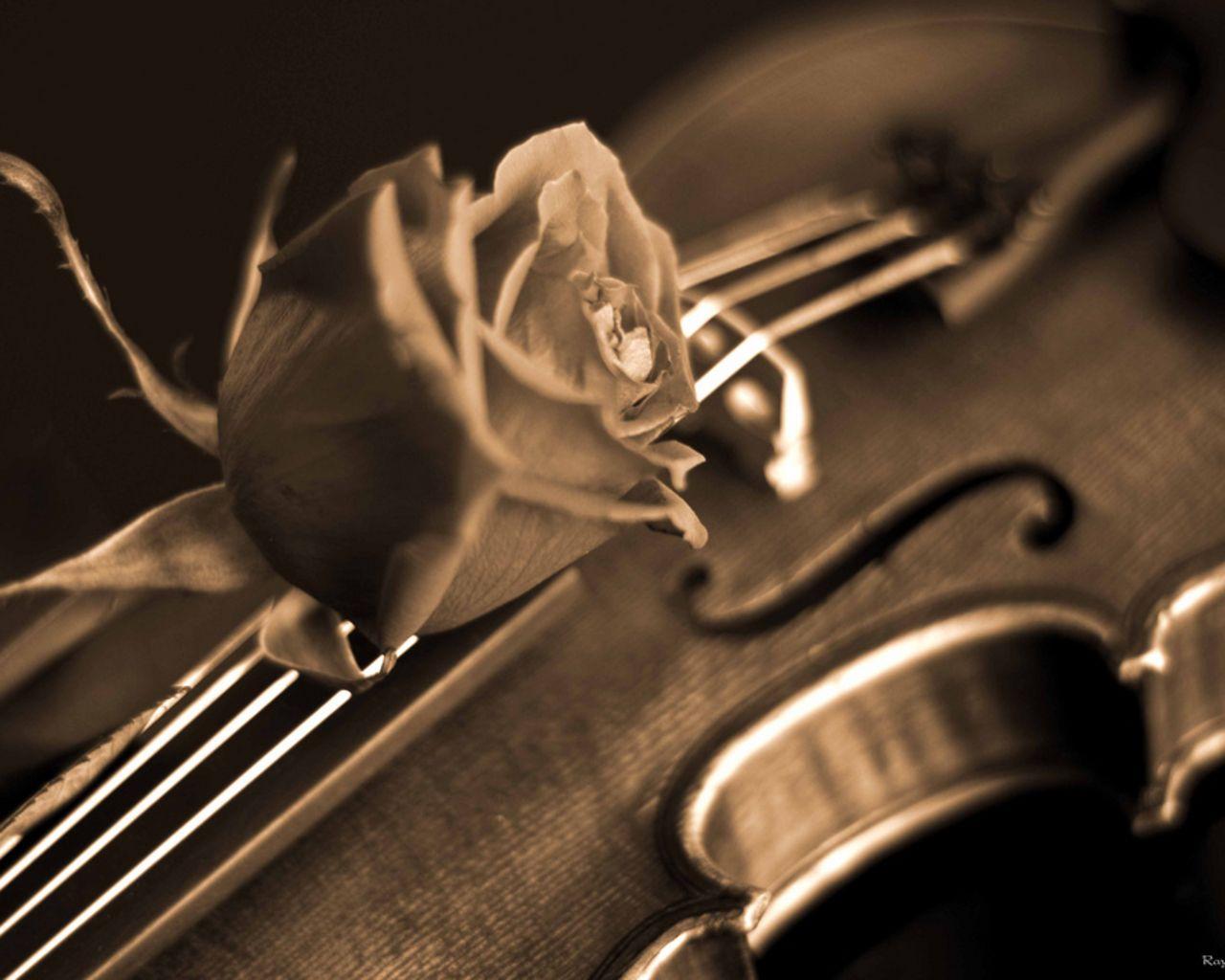 1280x1024 Free download Violin HD wallpaper WallpaperLepi [1280x1024] for your Desktop, Mobile & Tablet. Explore Piano and Violin Wallpaper. Piano and Violin Wallpaper, Violin Wallpaper, Piano Wallpaper