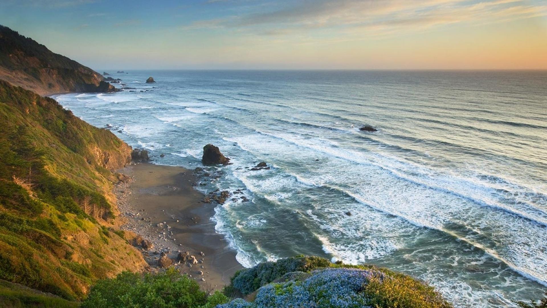 1920x1080 Free download Nature coast flowers cliffs california redwoods