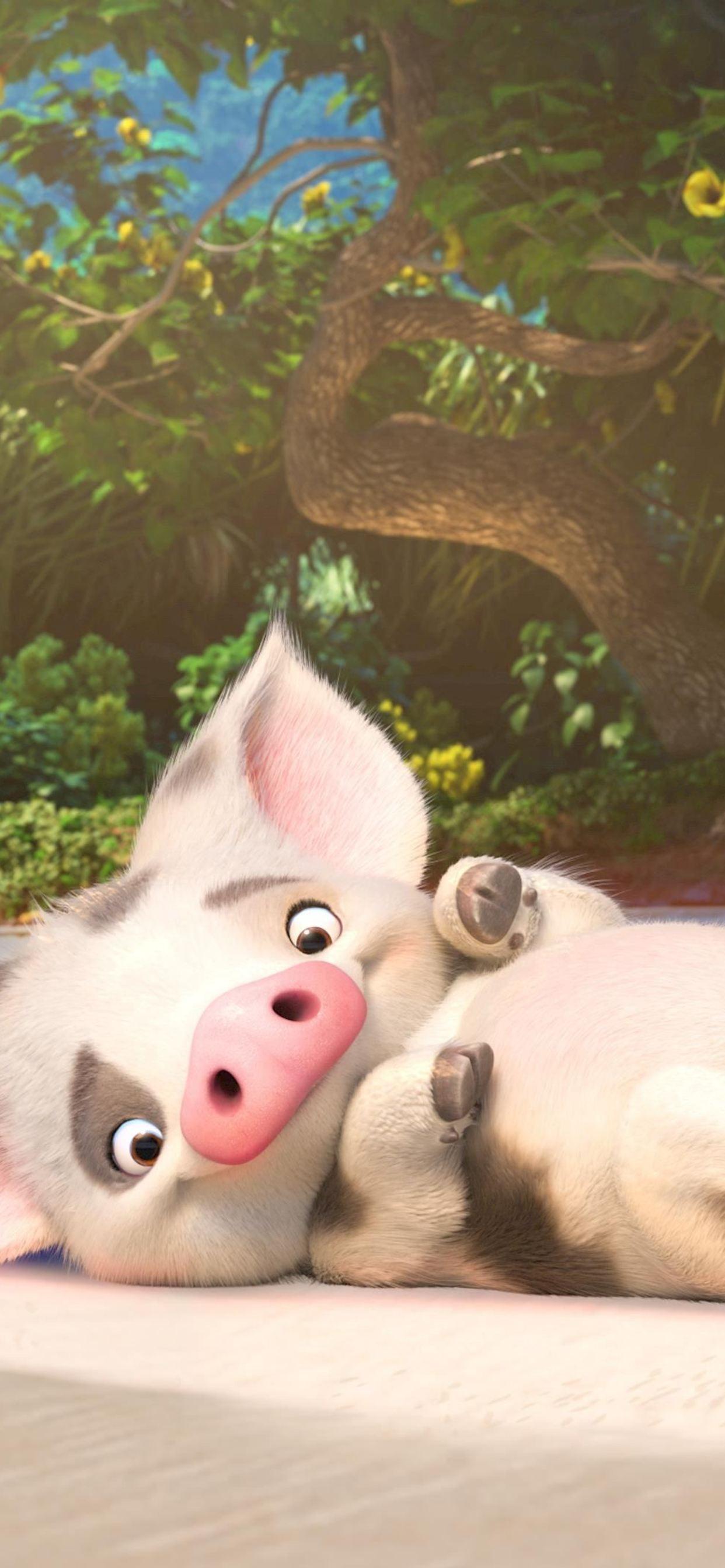 1242x2688 Pua Moana 4k Pig Wallpaper iPhone, HD Wallpaper