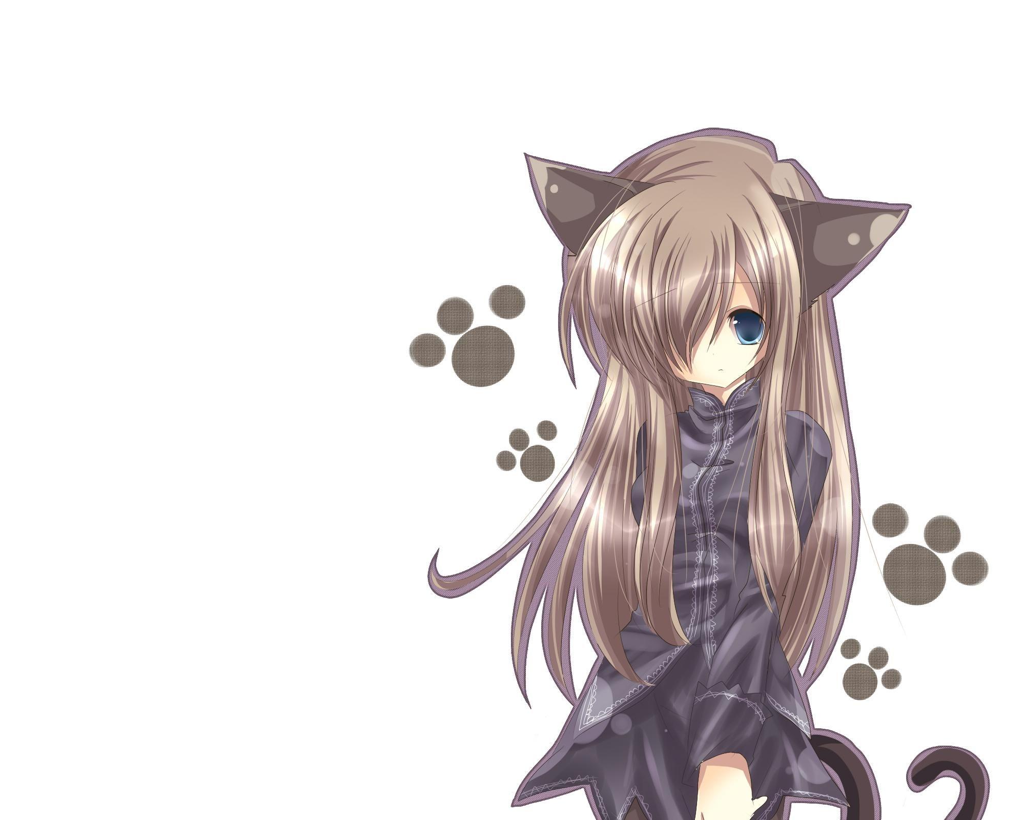 Cute Anime Cat Girl Wallpapers - Top Free Cute Anime Cat Girl Backgrounds -  WallpaperAccess