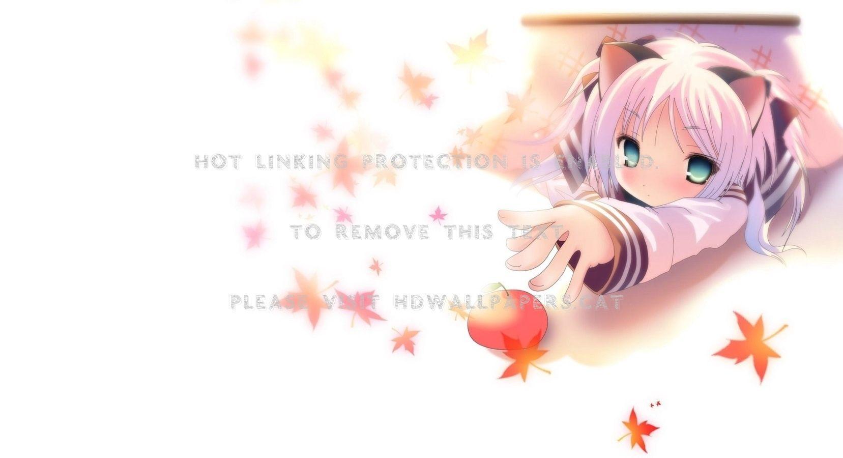 1657x900 cute cat girl wallpaper anime
