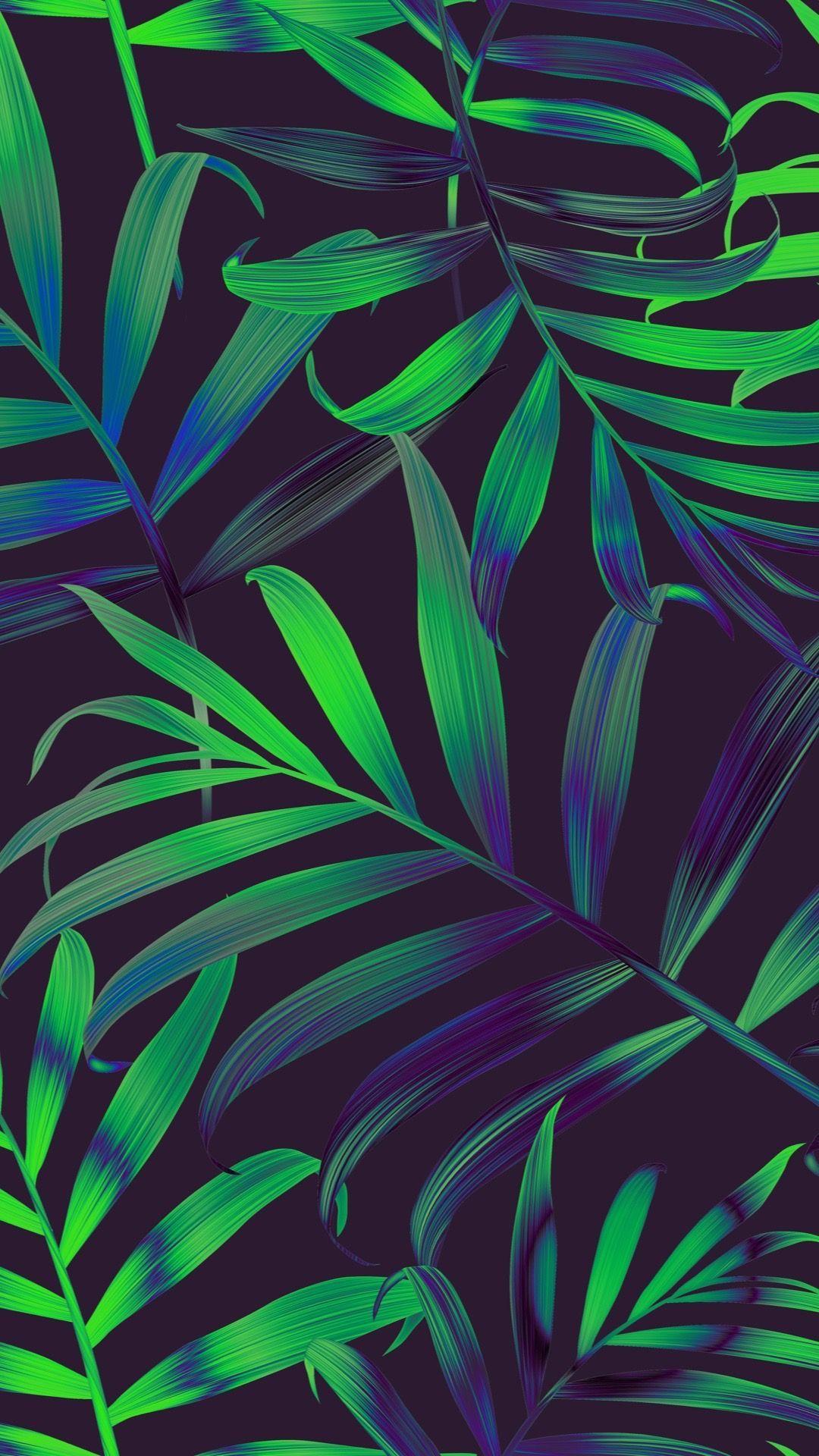 1080x1920 •iPhone•