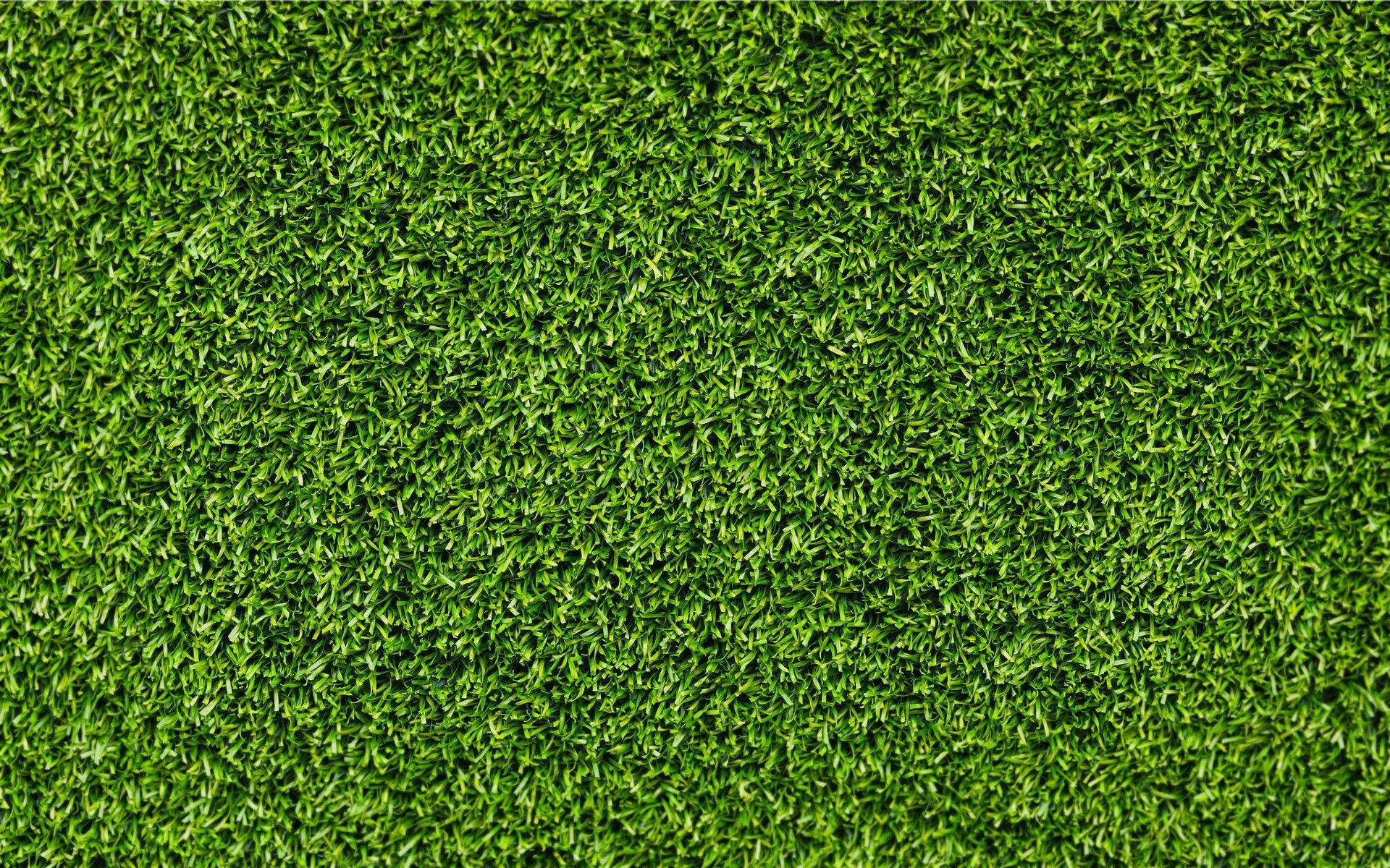 Lawn Wallpapers - Top Free Lawn Backgrounds - WallpaperAccess