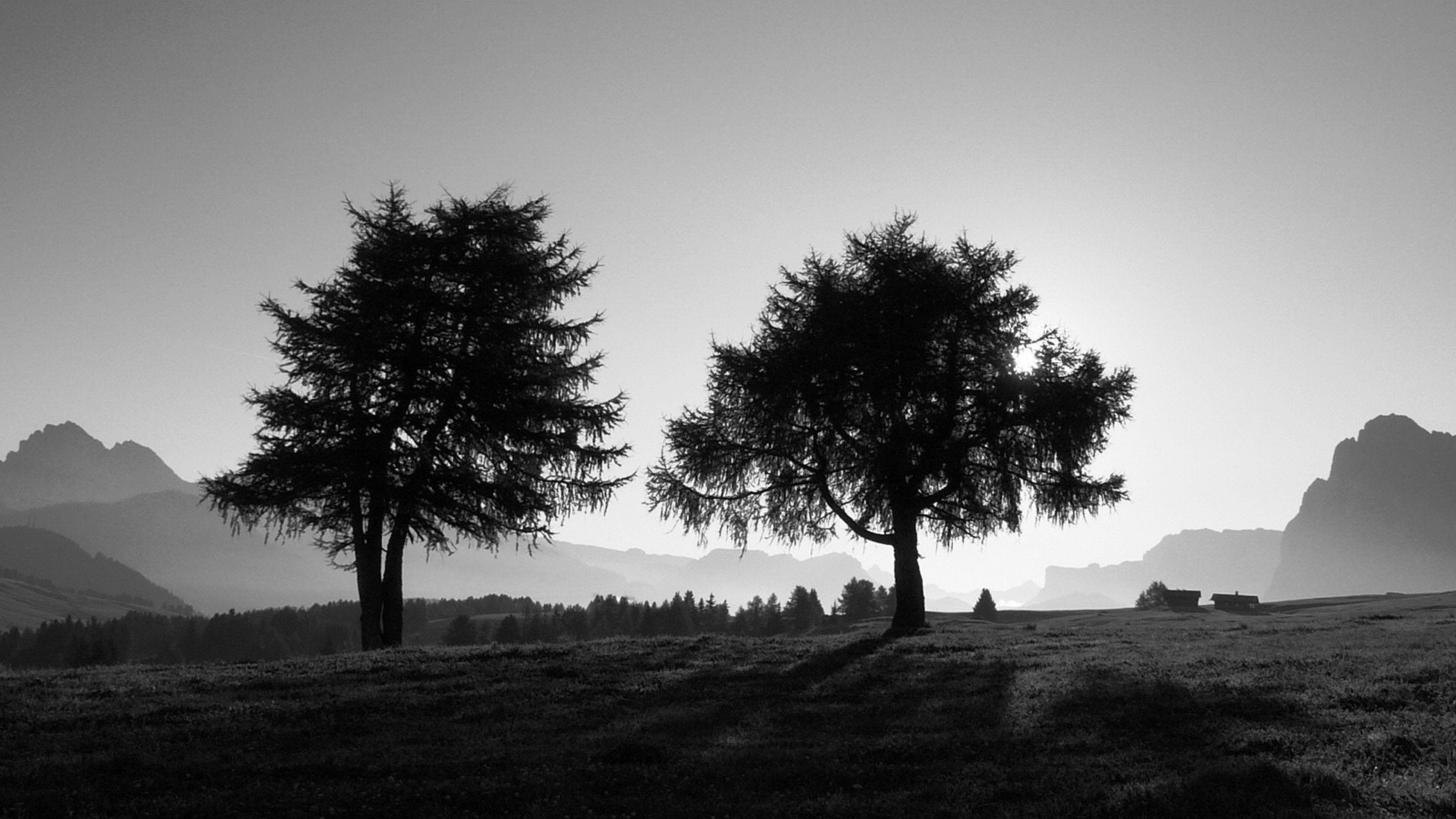 3840x2160 4K Black and White Wallpaper