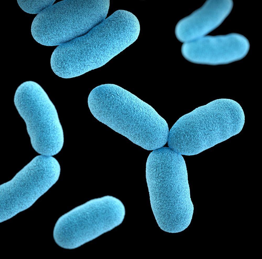 Bacteria Wallpapers - Top Free Bacteria Backgrounds - WallpaperAccess