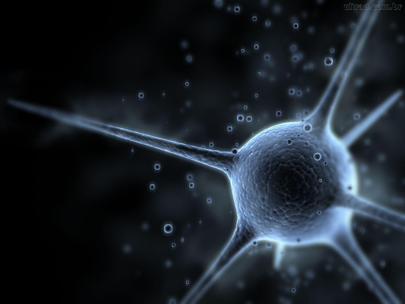 1600x1200 Bacteria Wallpaper