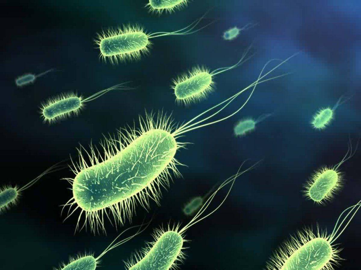 Bacteria Wallpapers - Top Free Bacteria Backgrounds - WallpaperAccess