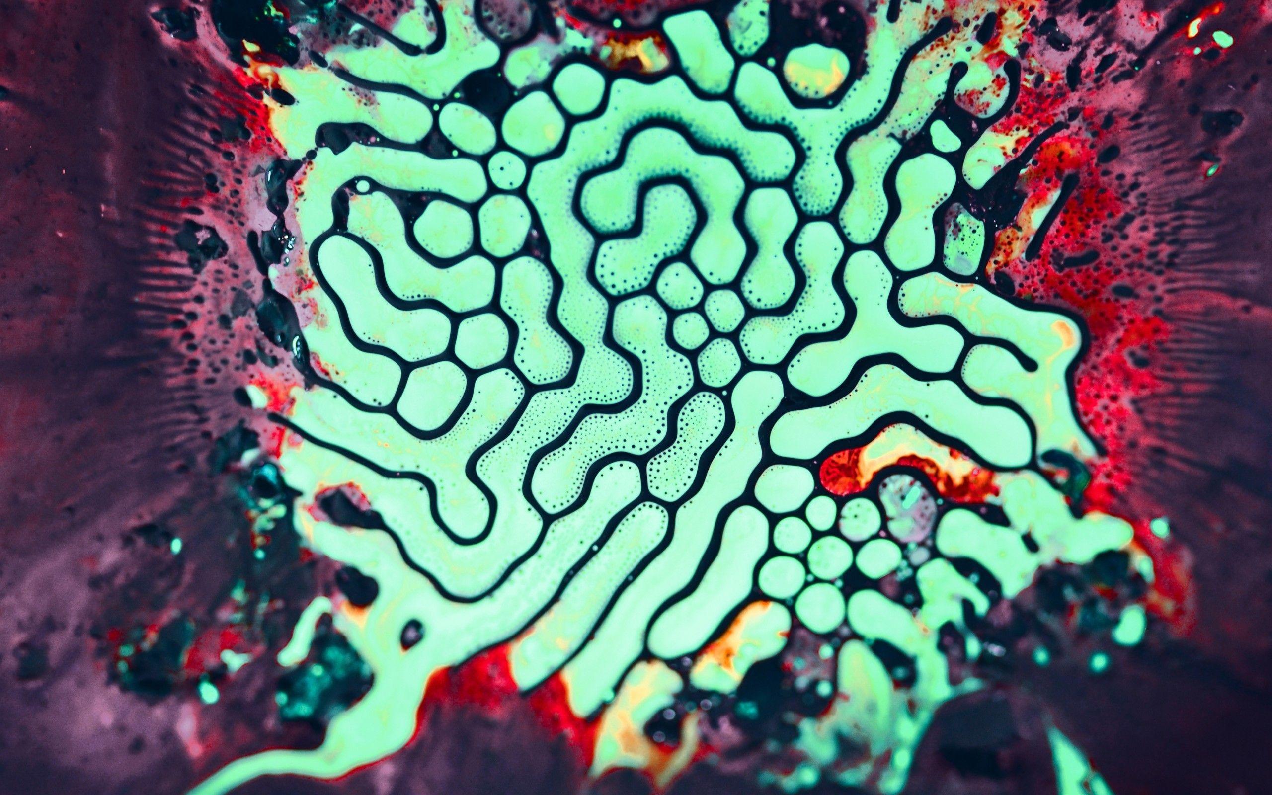 2560x1600 Download 2560x1600 Geometric, Close Up, Bacteria, Microscopic