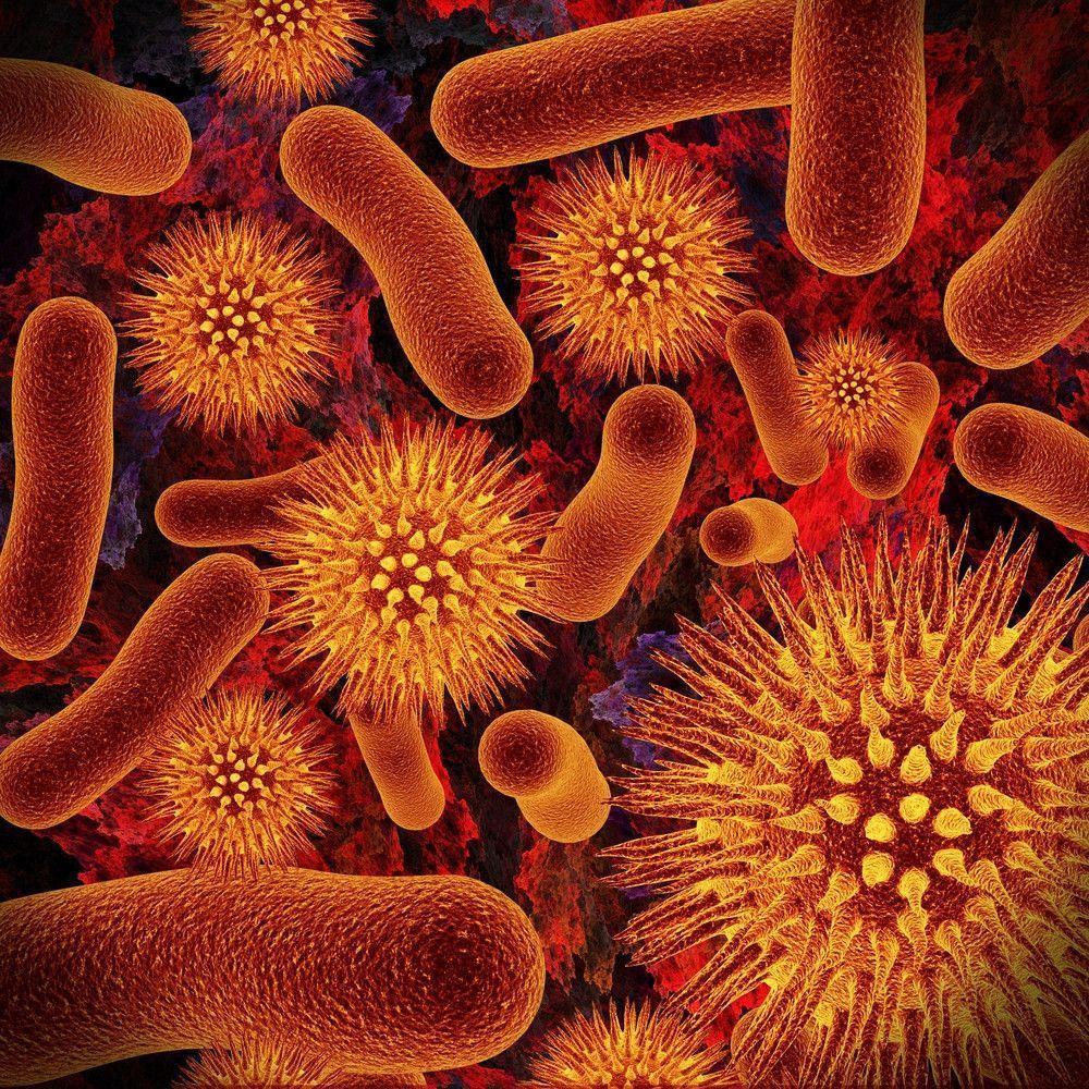 1000x1000 Bacteria Wallpaper