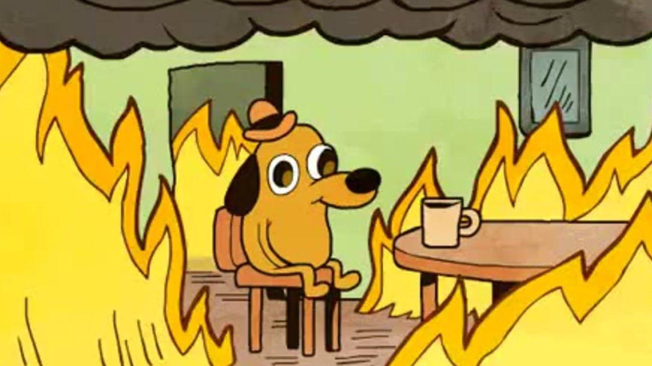 Iconic This is Fine Meme Completes a Decade Cartoonist Celebrates With a  Tweet  News18