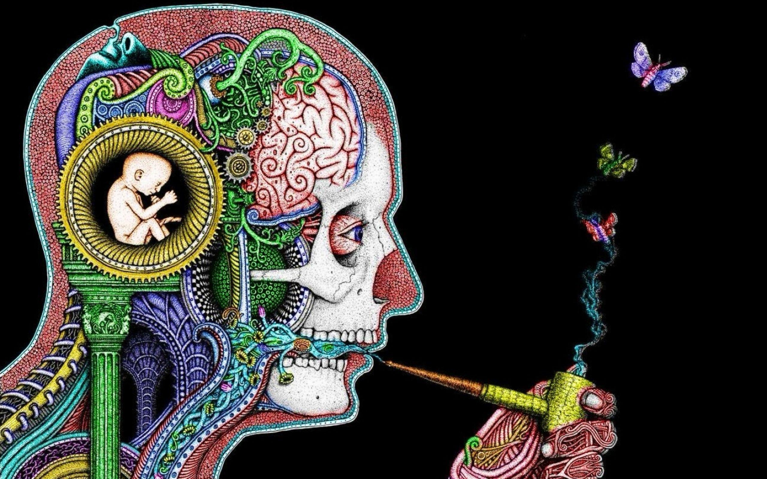 Head Wallpapers - Top Free Head Backgrounds - WallpaperAccess