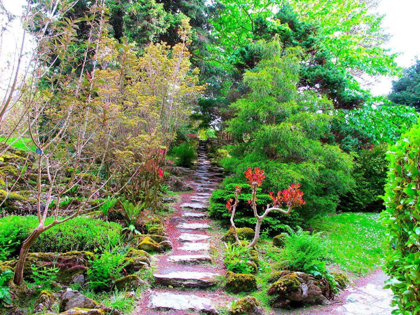 1365x1024 Picture Muckross House Garden Ireland Nature Gardens