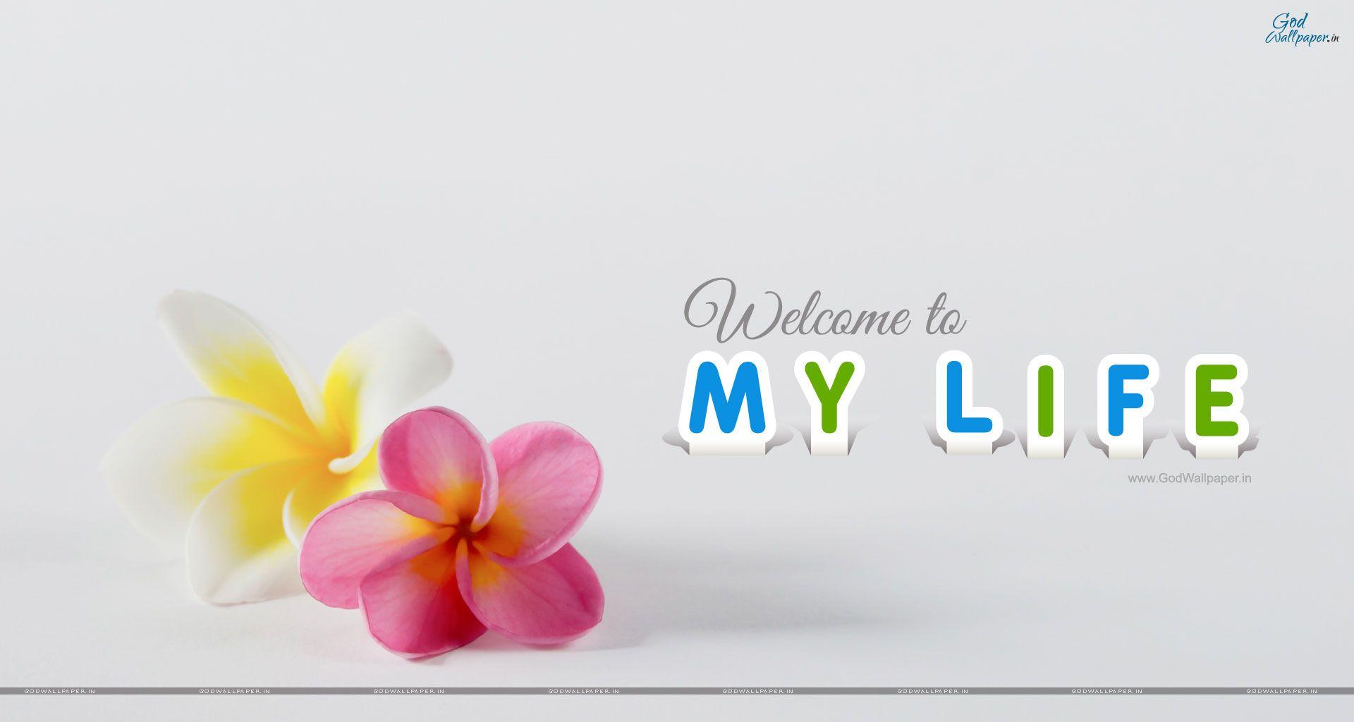 My Life Wallpaper Download : My Life Wallpapers Wallpaper Cave : Free