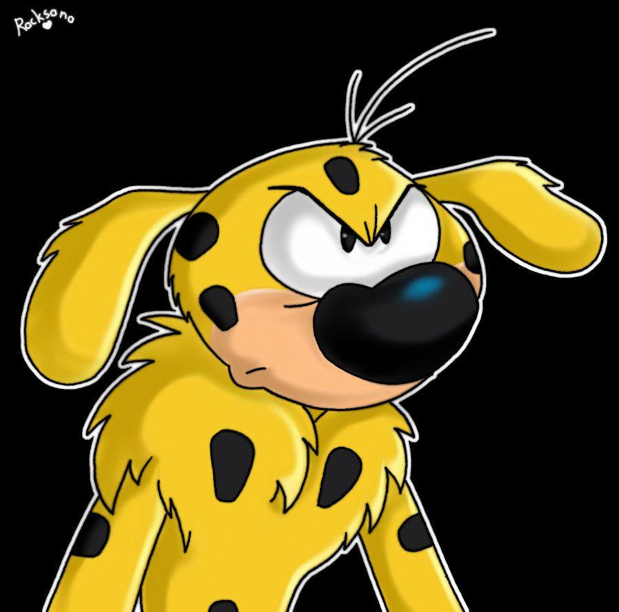 900x890 Marsupilami Wallpaper