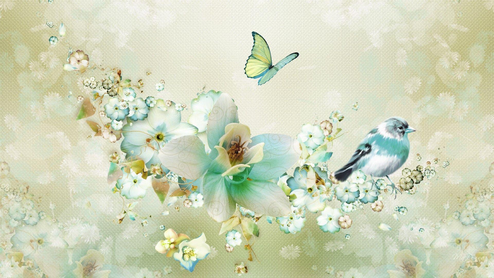 Birds and Butterflies Wallpapers - Top Free Birds and Butterflies