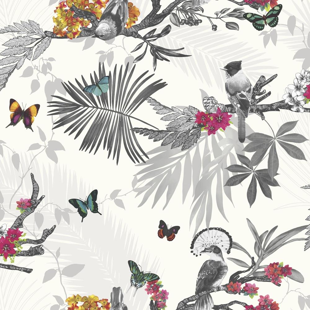 Birds And Butterflies Wallpapers  Wallpaper Cave