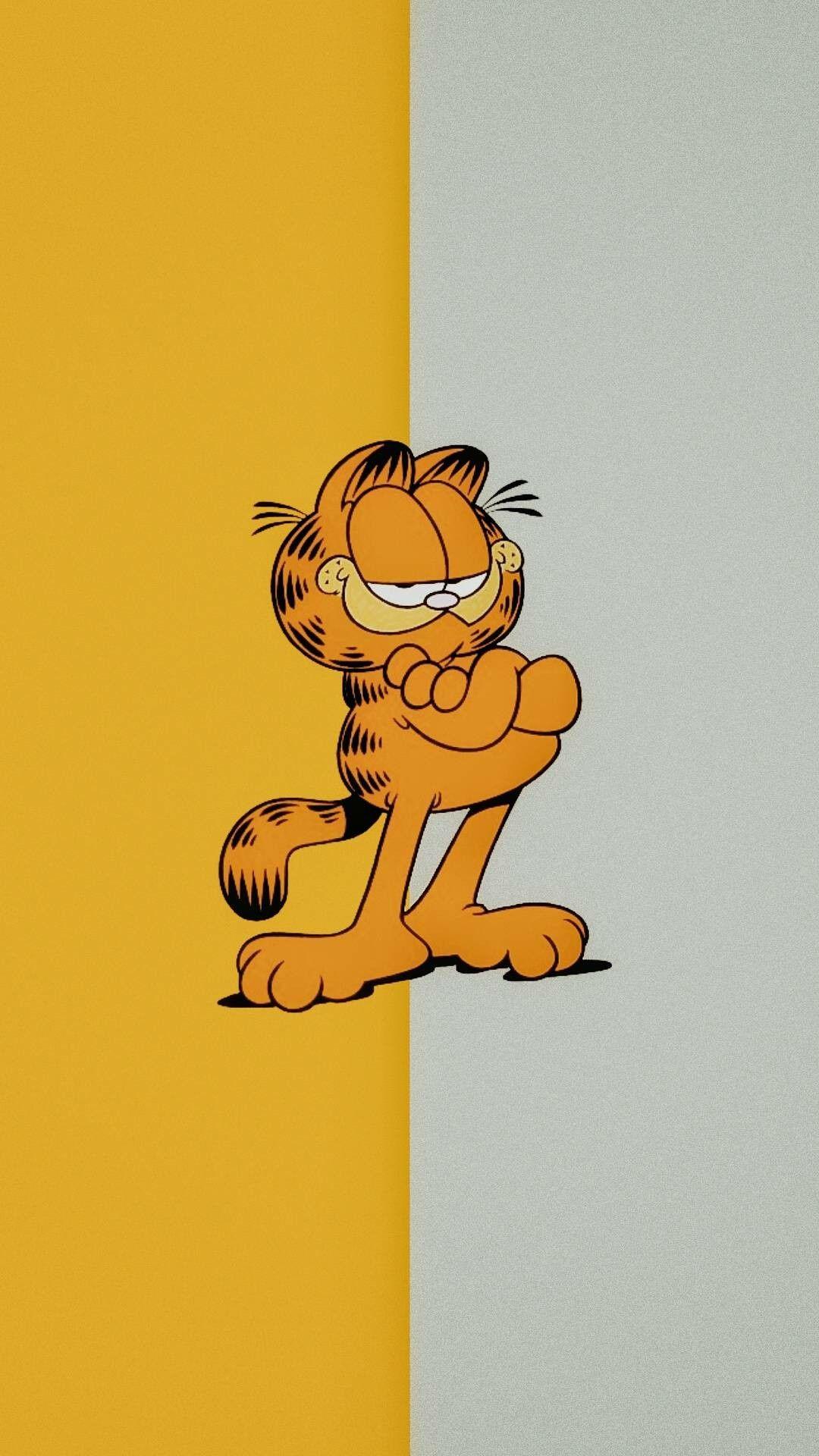 Garfield Wallpapers Top Free Garfield Backgrounds Wallpaperaccess