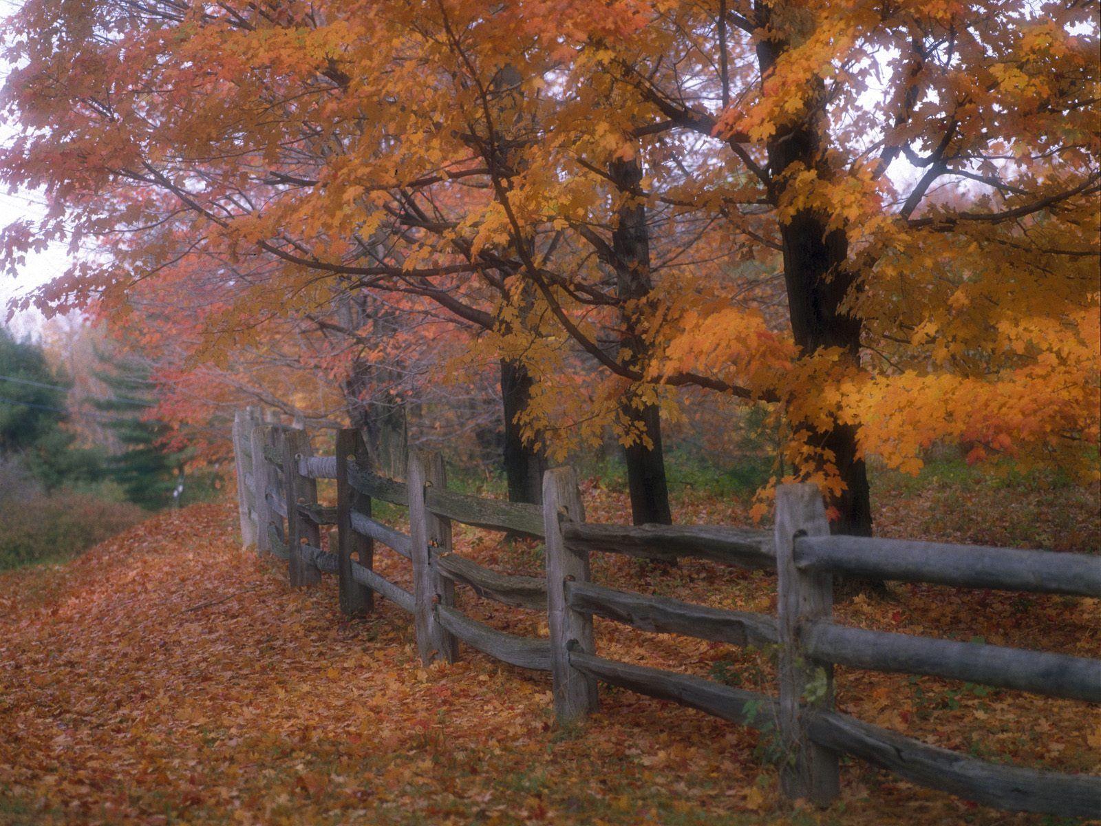 1600x1200 Country Scenes Wallpaper for Computer