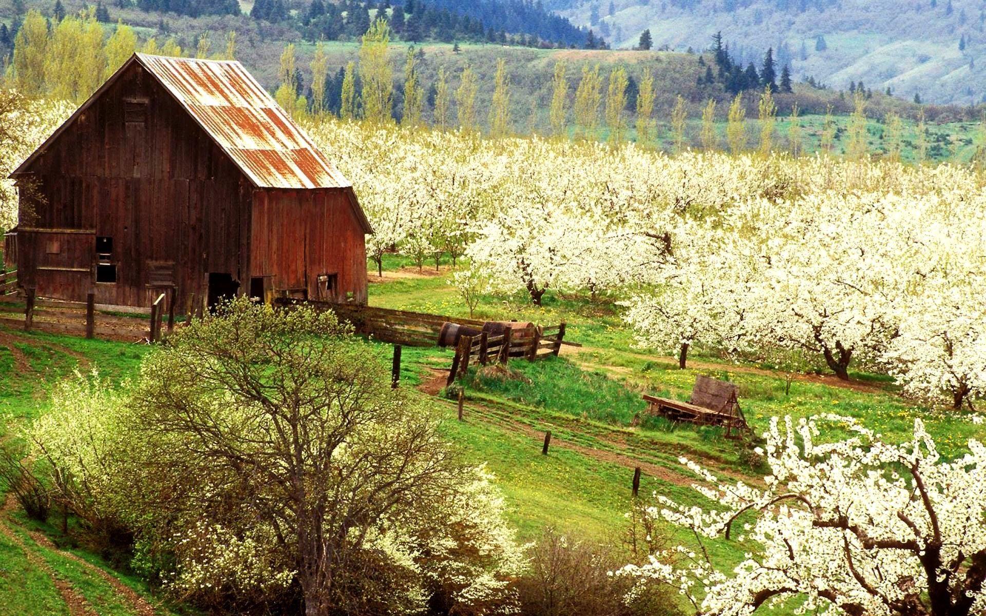 Spring Farm Scenes Wallpapers Top Free Spring Farm Scenes Backgrounds