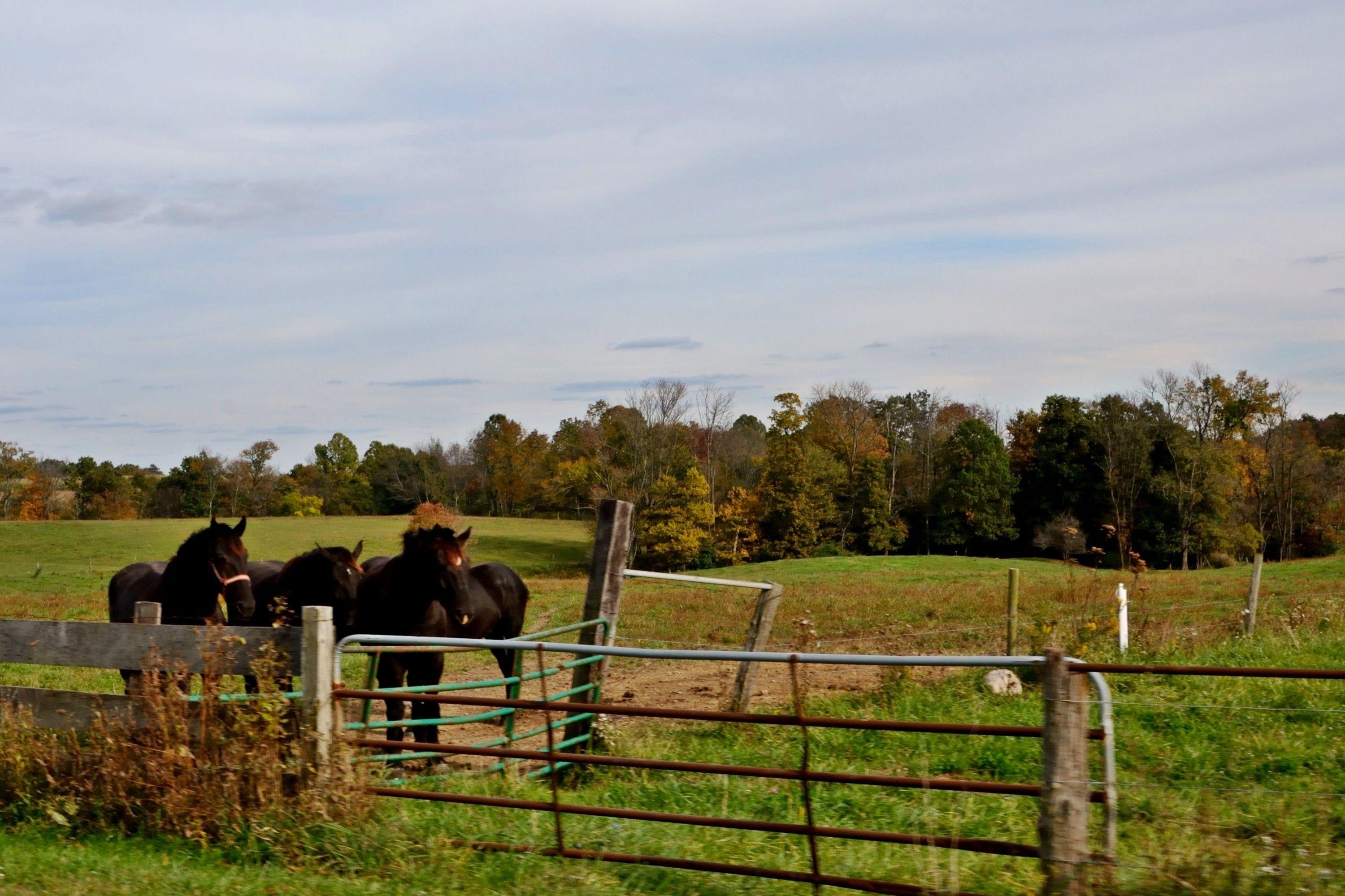3000x1999 Farm Scene Wallpaper