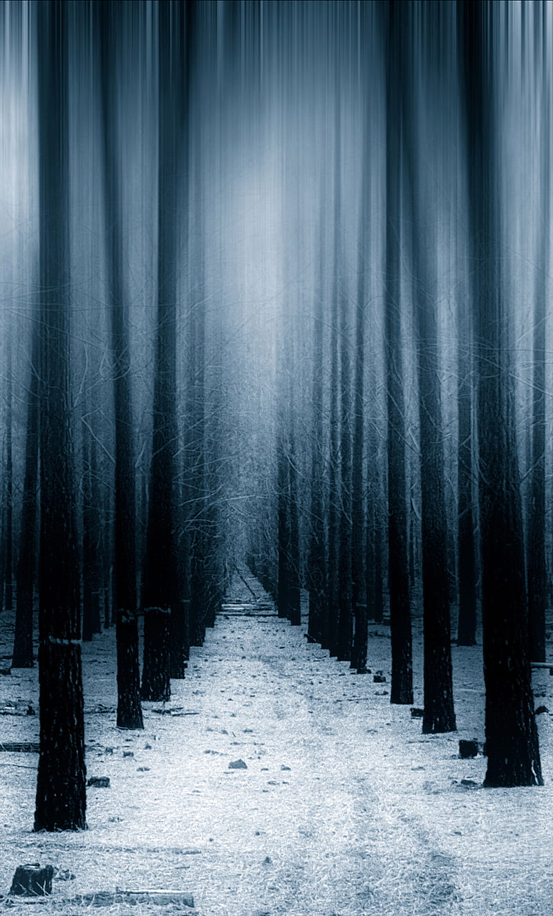 800x1325 Dark Forest Woods Snow Winter iPhone, , Background, and, Black Forest Winter, HD phone wallpaper