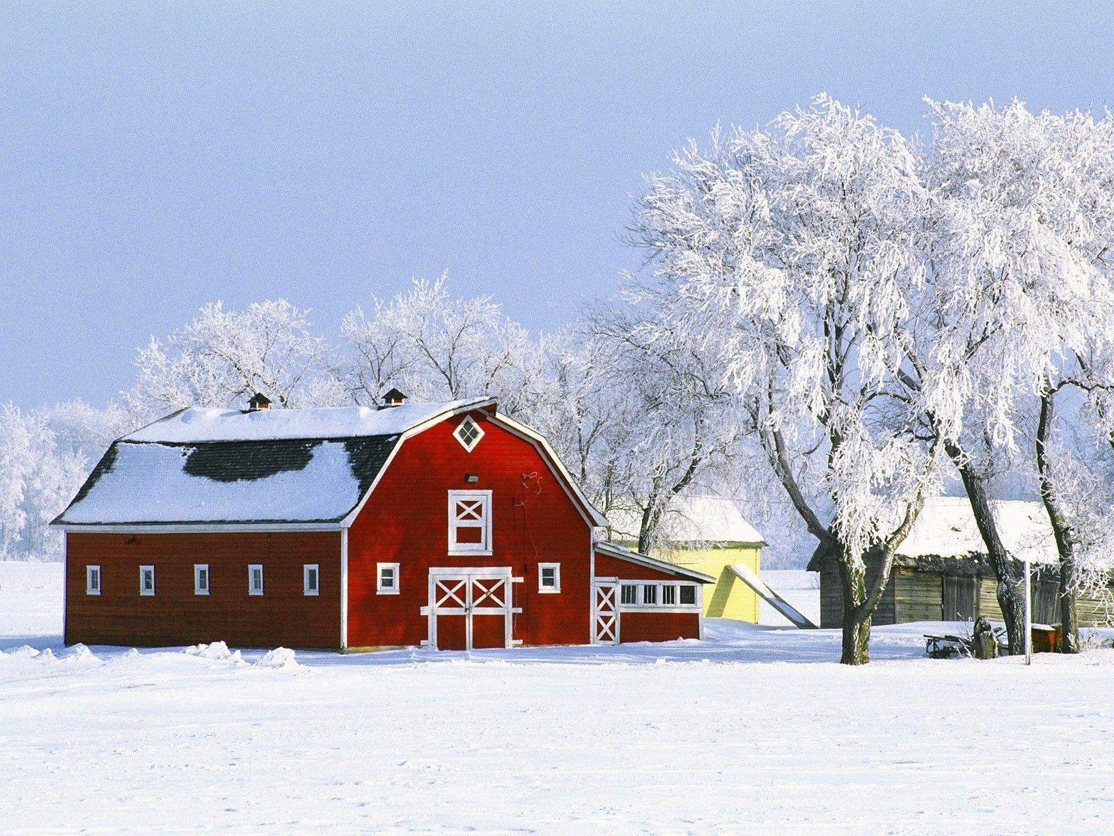 1600x1200 Red Barn trong Snow Wallpaper.  Chuồng trại cũ