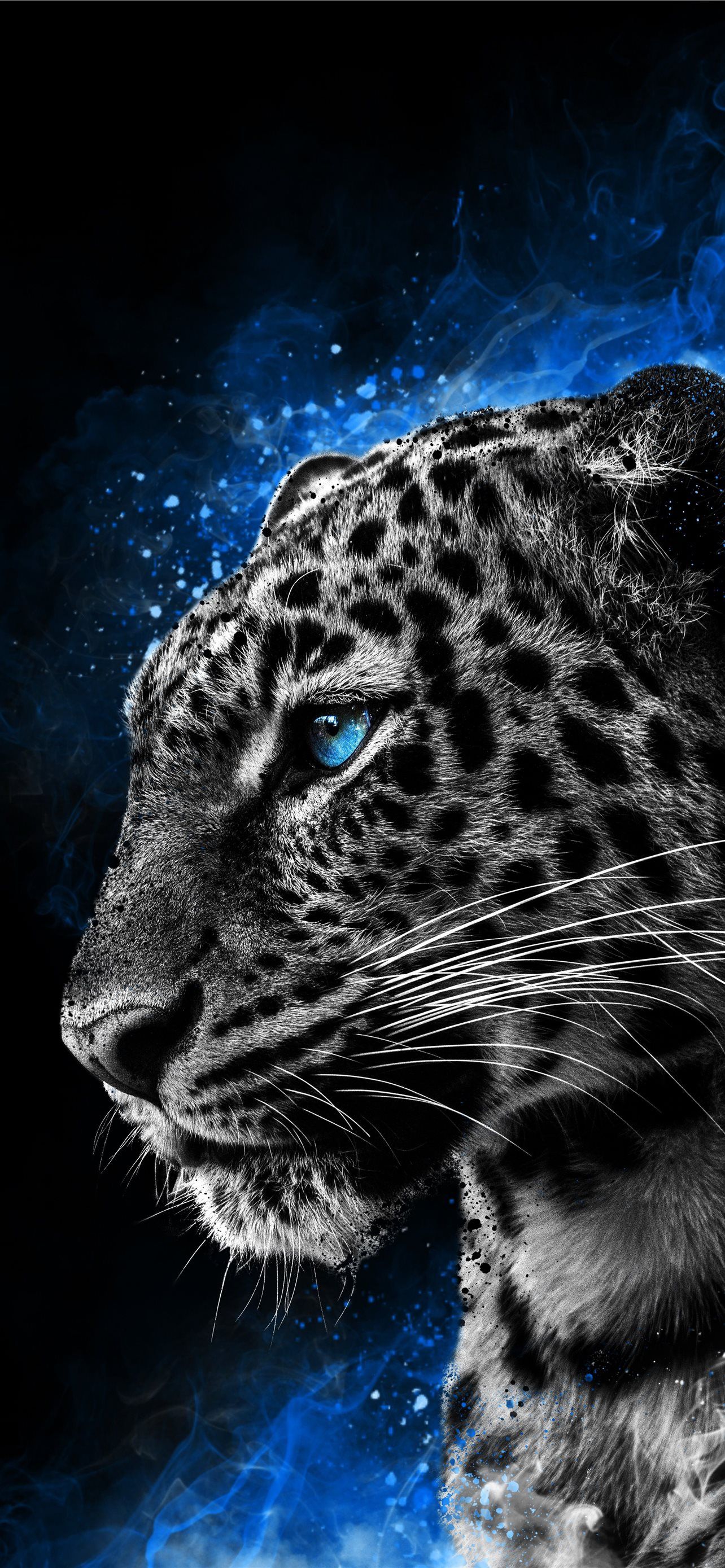 1284x2778 16 Phone iPhone Wallpaper Free Download