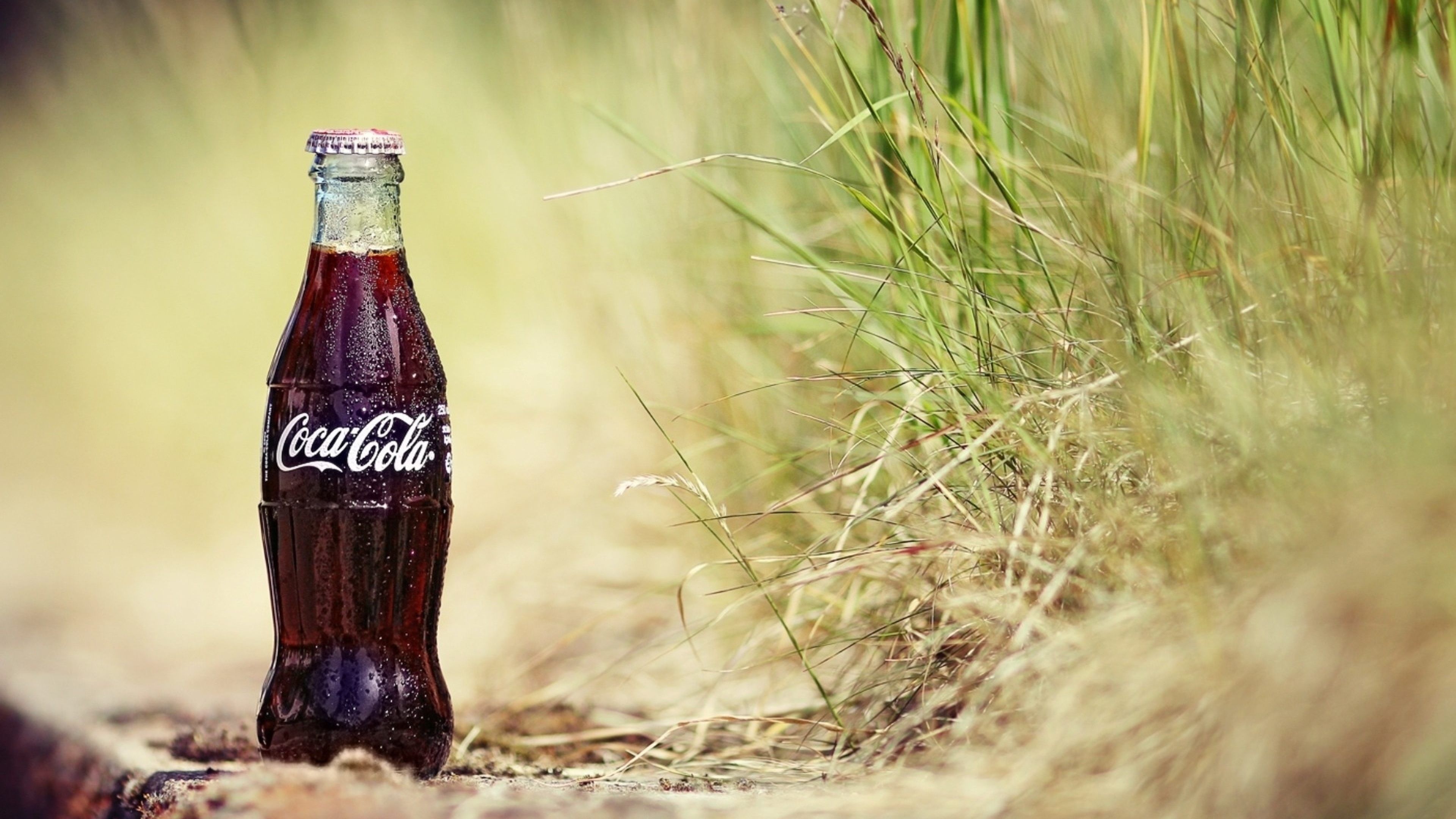 3840x2160 Wallpaper Coca Cola Zero Bottle on Brown Dried Grass, Background Free Image