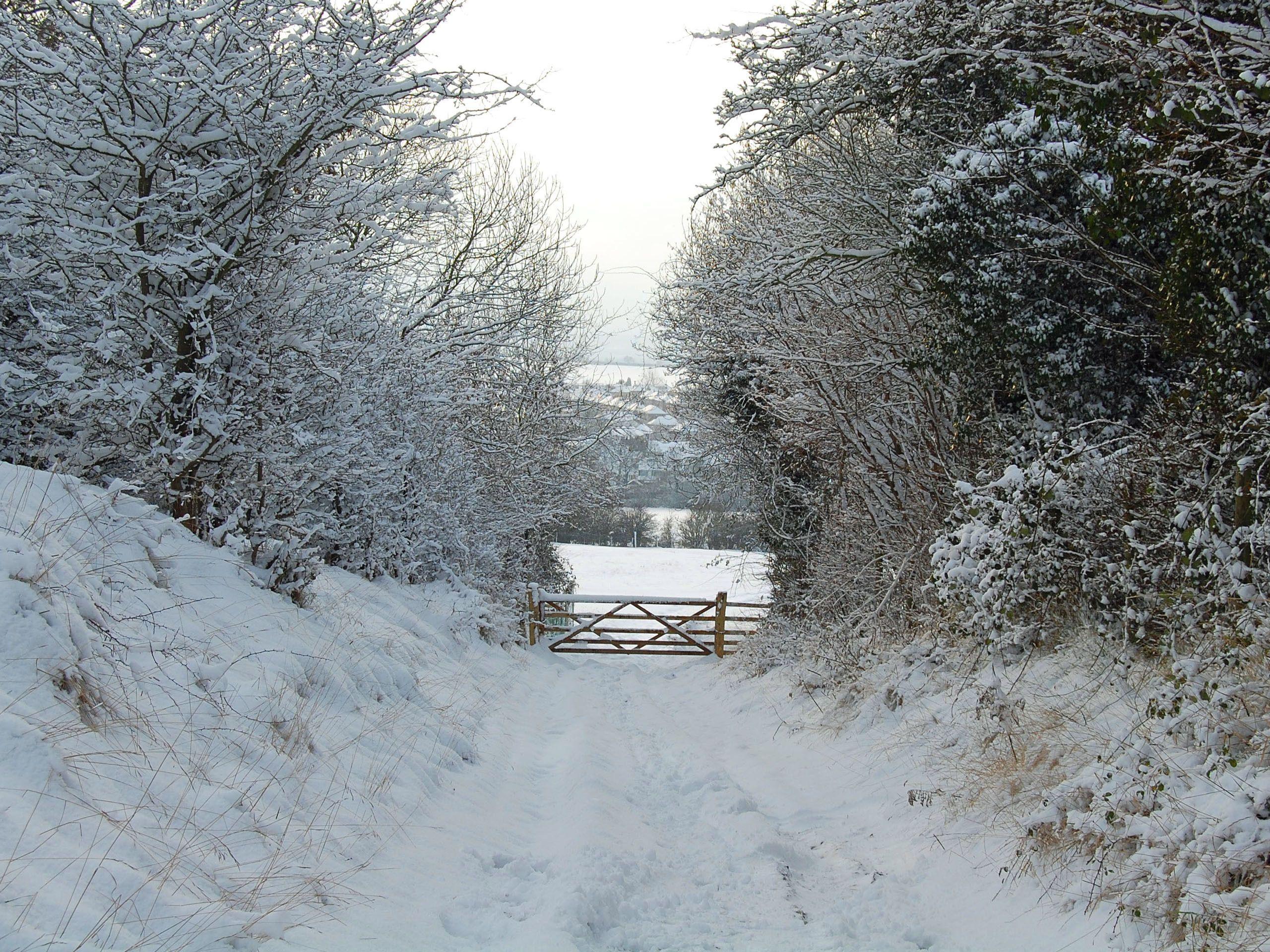 2560x1920 Winter Country Scenes Wallpaper