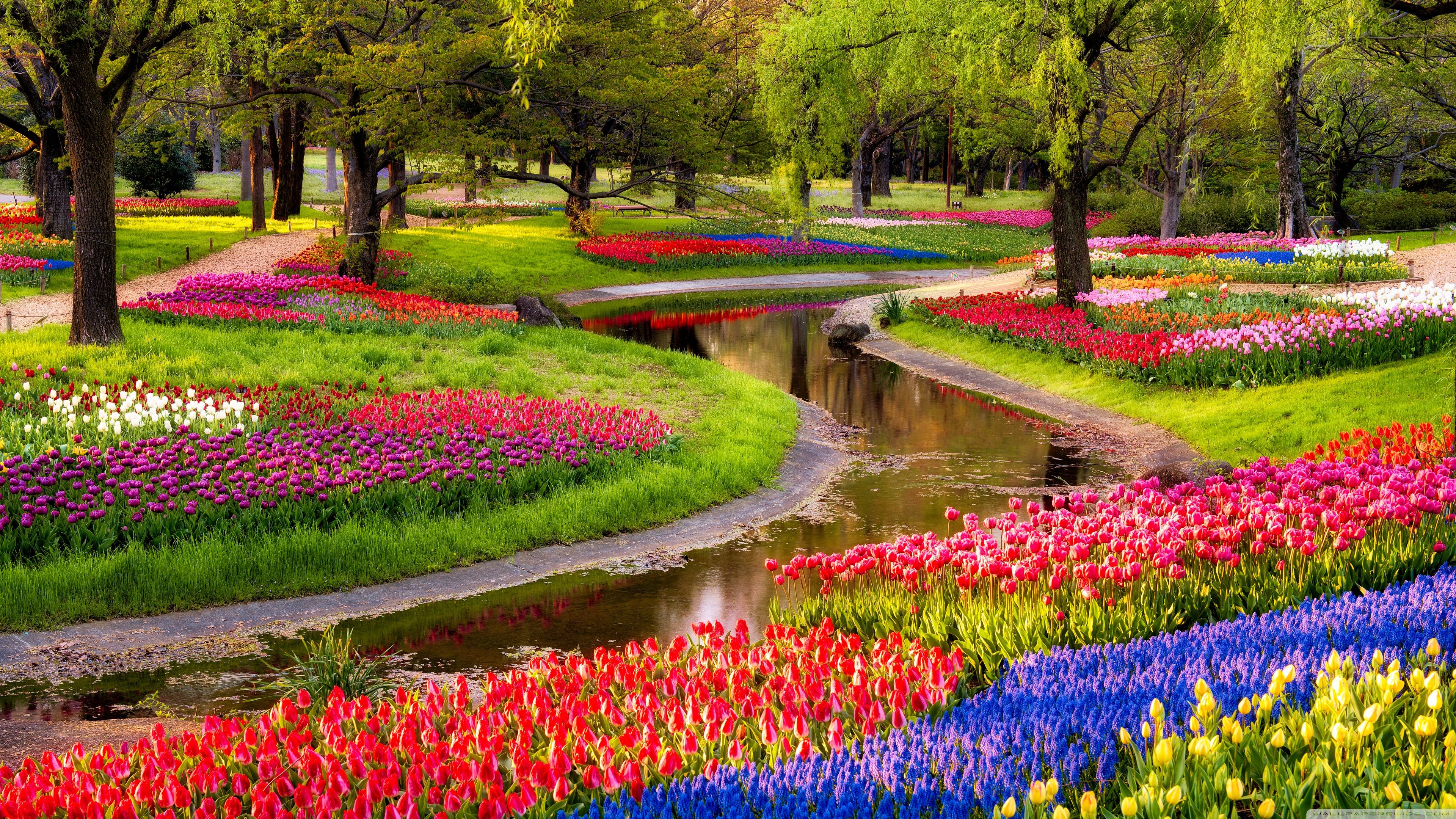 3840x2160 Beautiful Spring Garden 4K UHD Wallpaper for UltraHD Desktop and TV : Widescreen and UltraWide Display : Smartphone and Tablet Devices