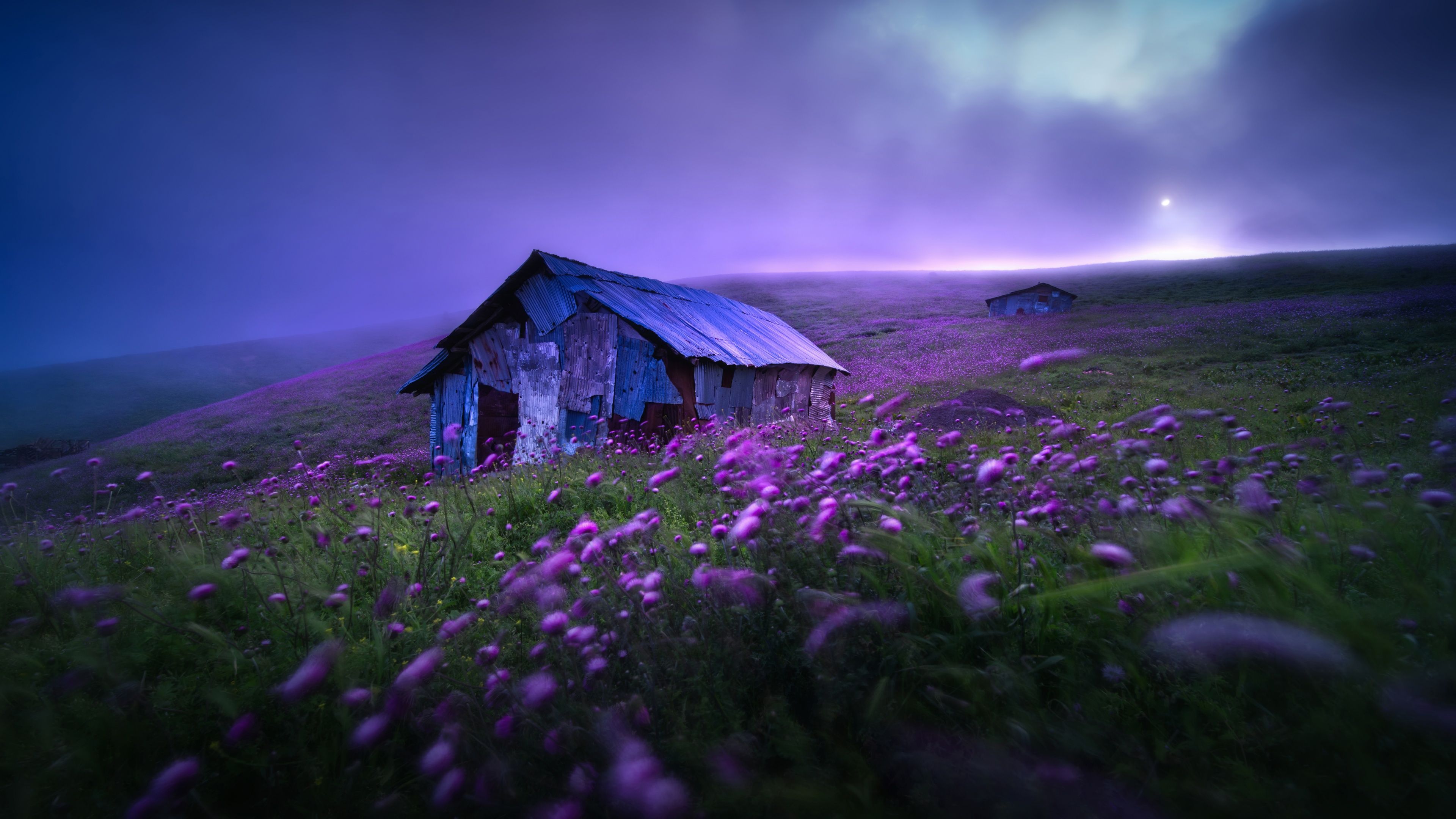 3840x2160 Landscape Wallpaper 4K, Spring, Violet flowers, Scenic