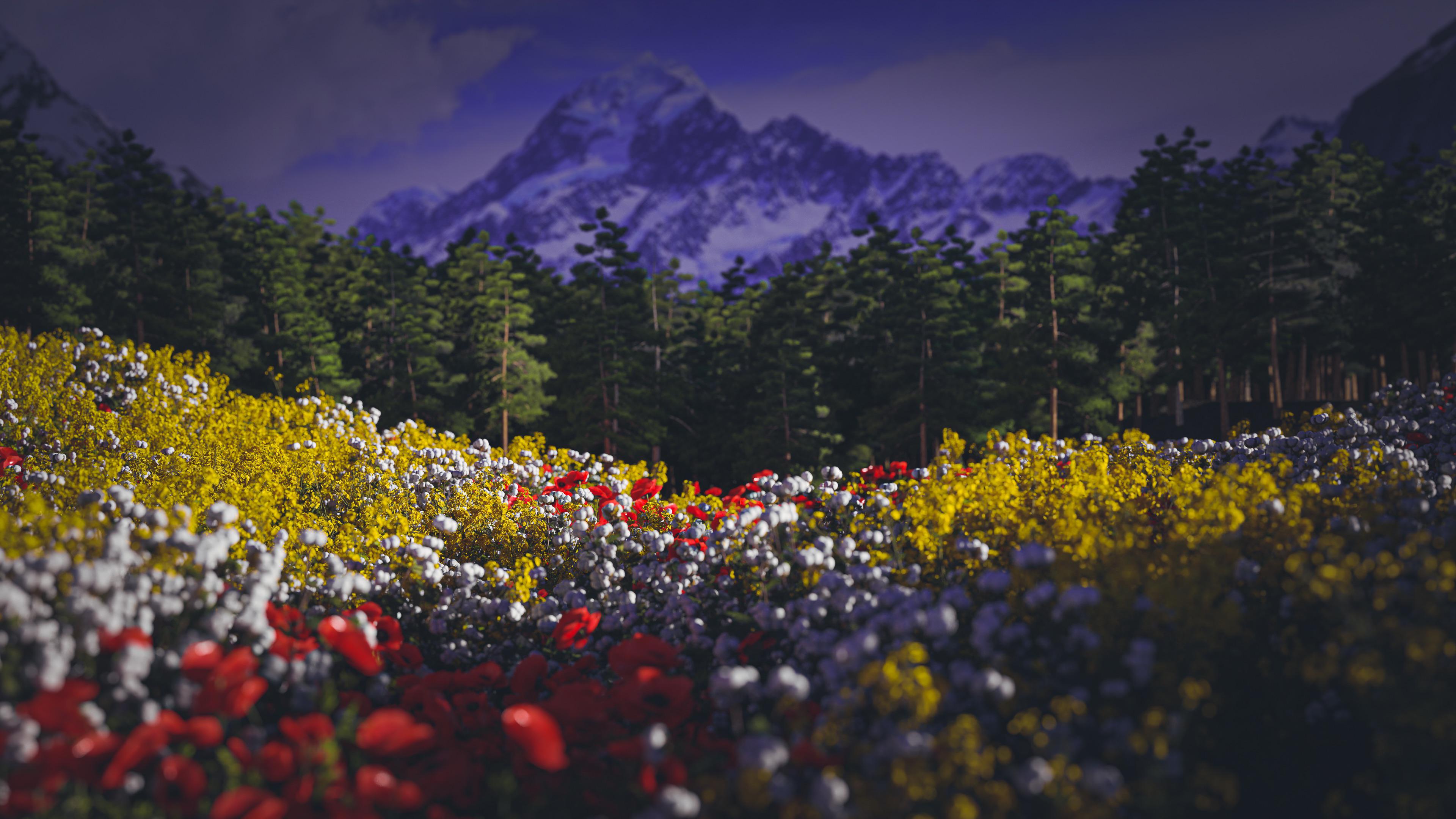 3840x2160 Wildflowers [3840x2160]