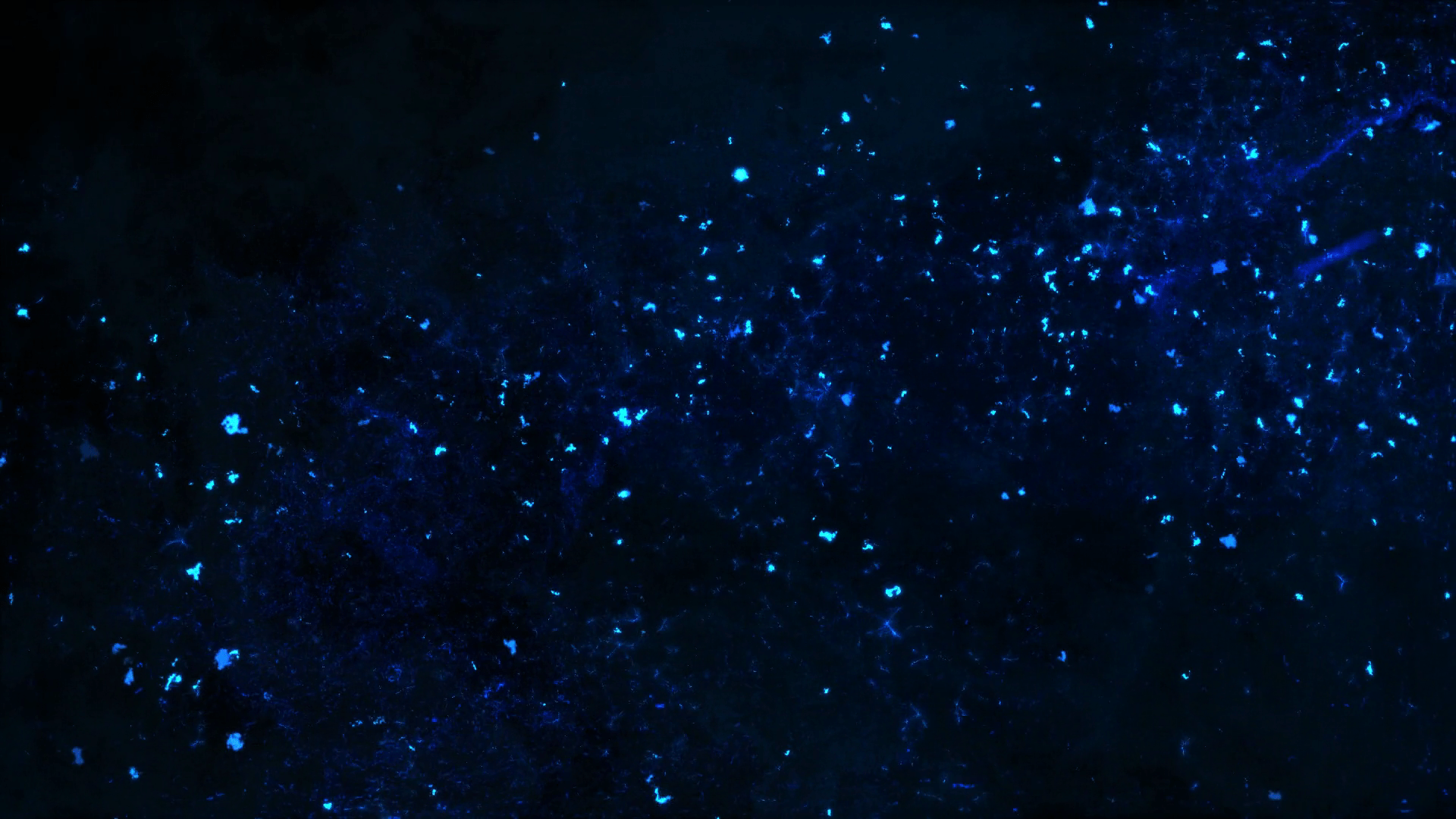 1920x1080 Impact Blue Lava Fire And Particles Loop Background.use as a background or overlay