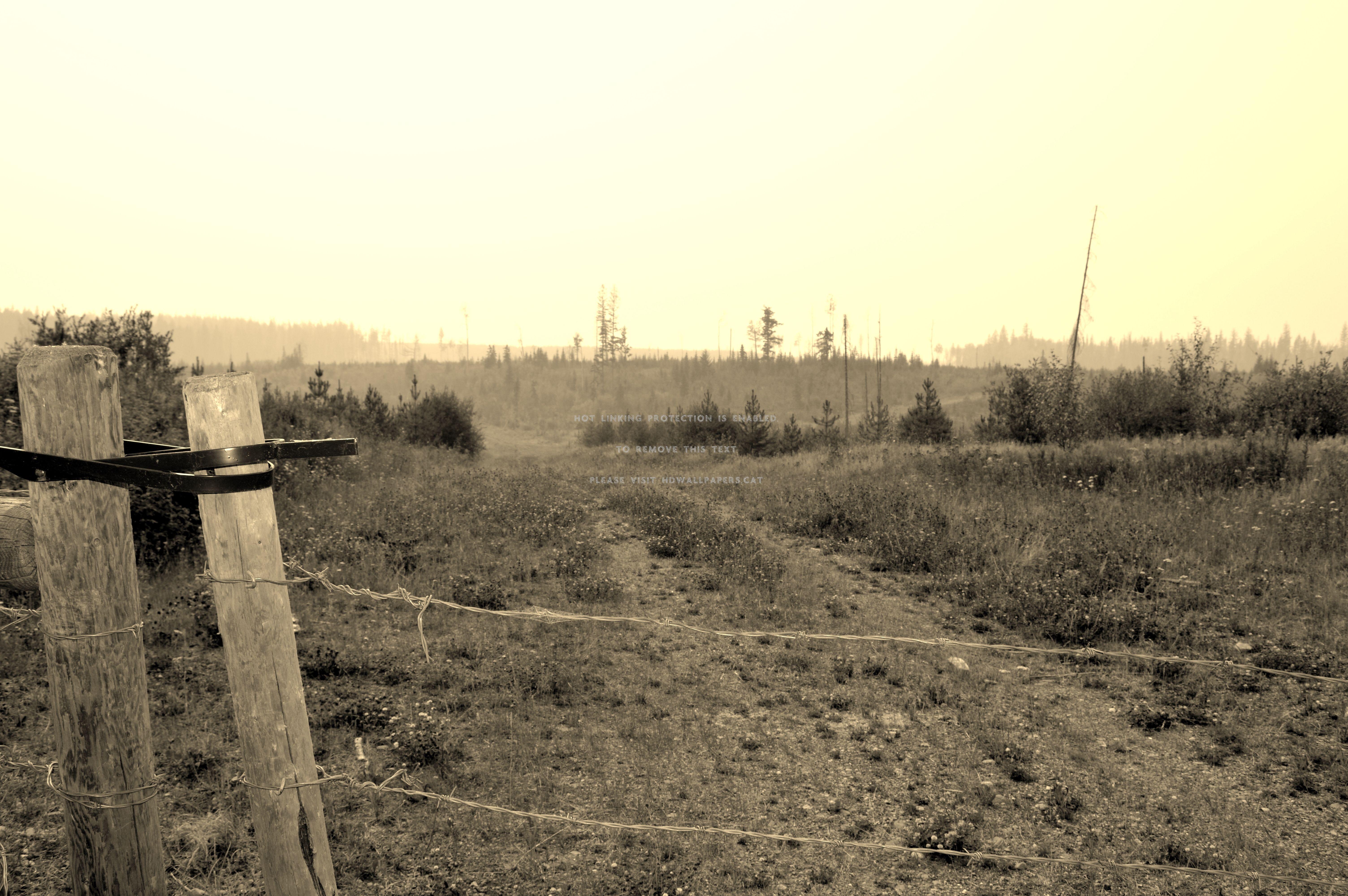6016x4000 of fence & field country farm scene nature
