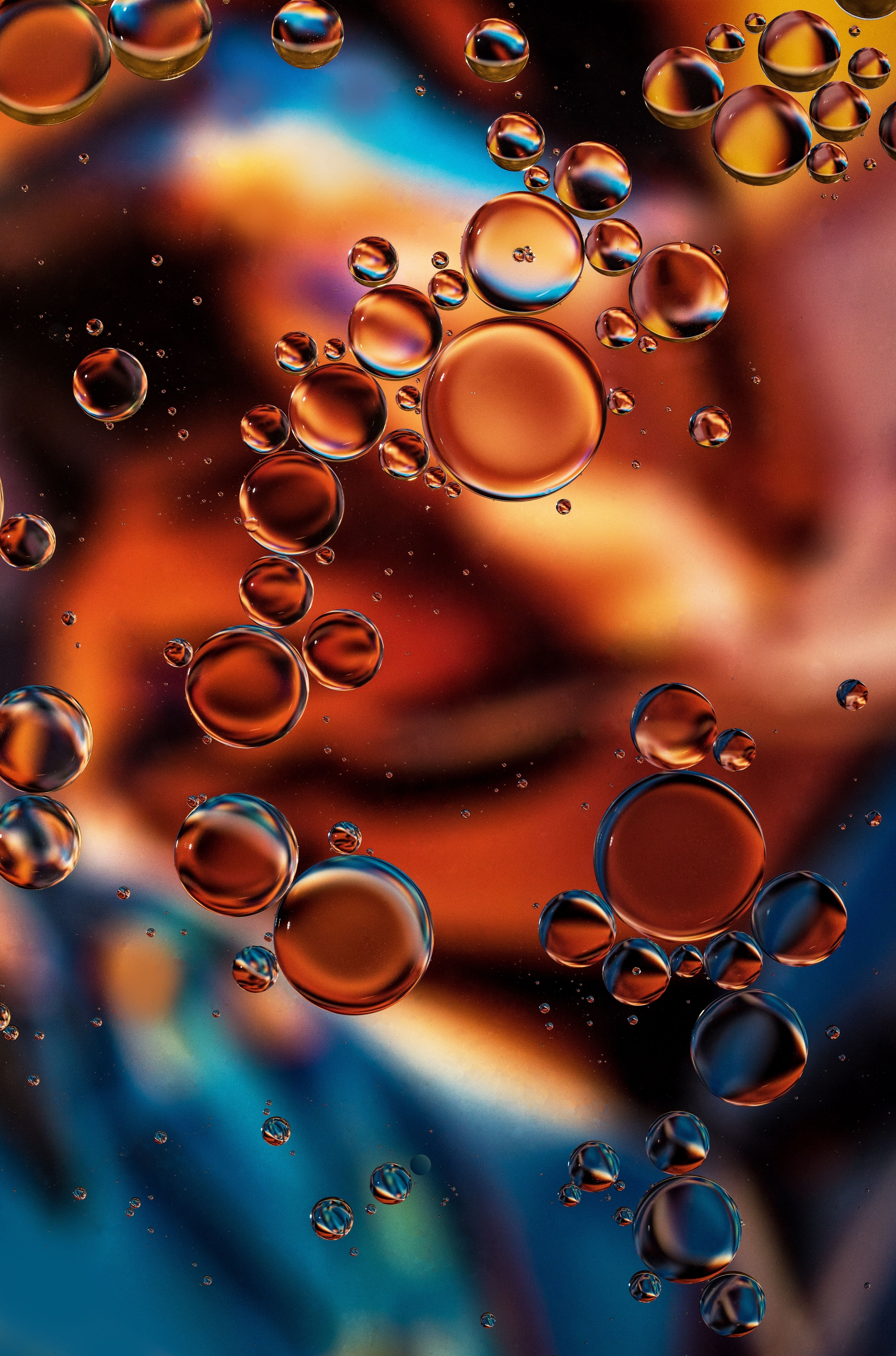 3826x5788 4k Transparent Wallpaper