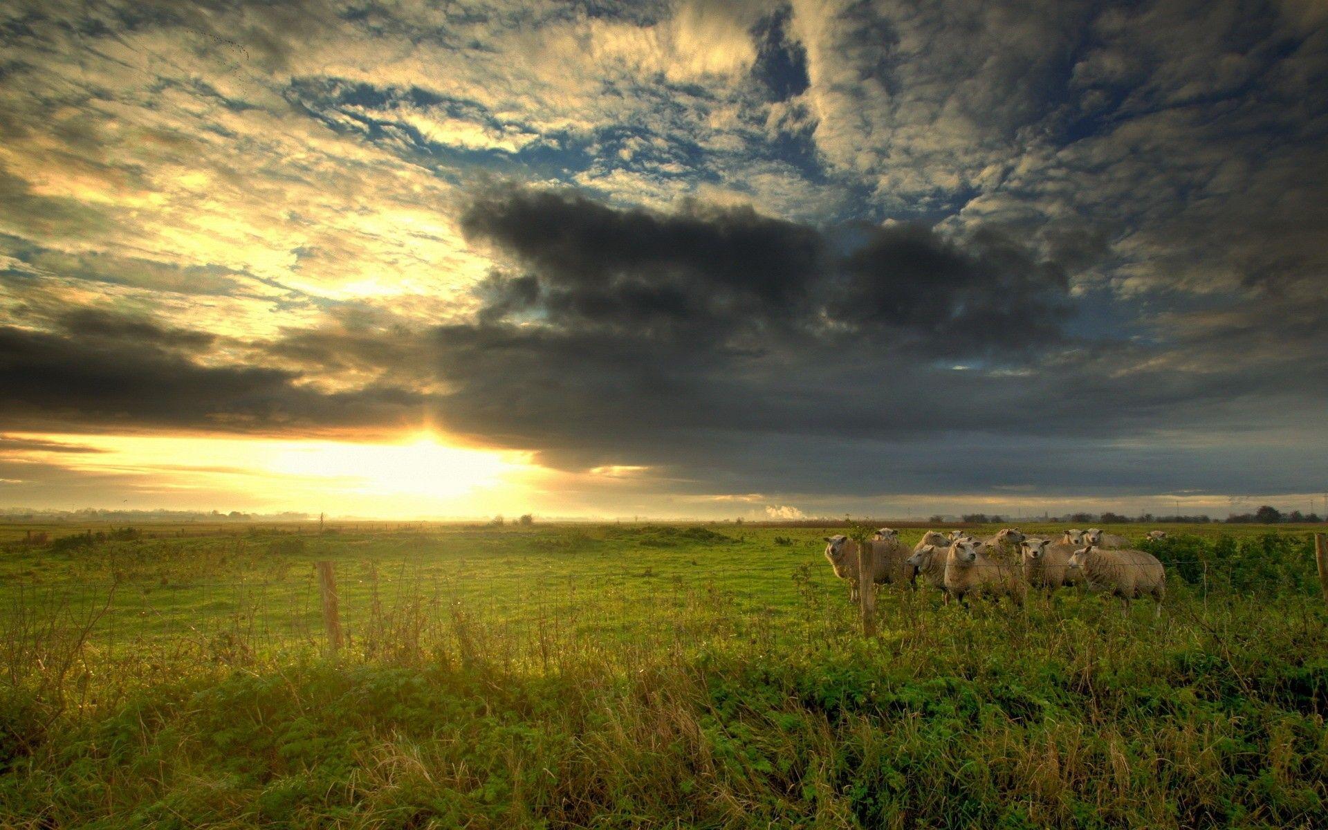 1920x1200 Farm Scene Wallpaper