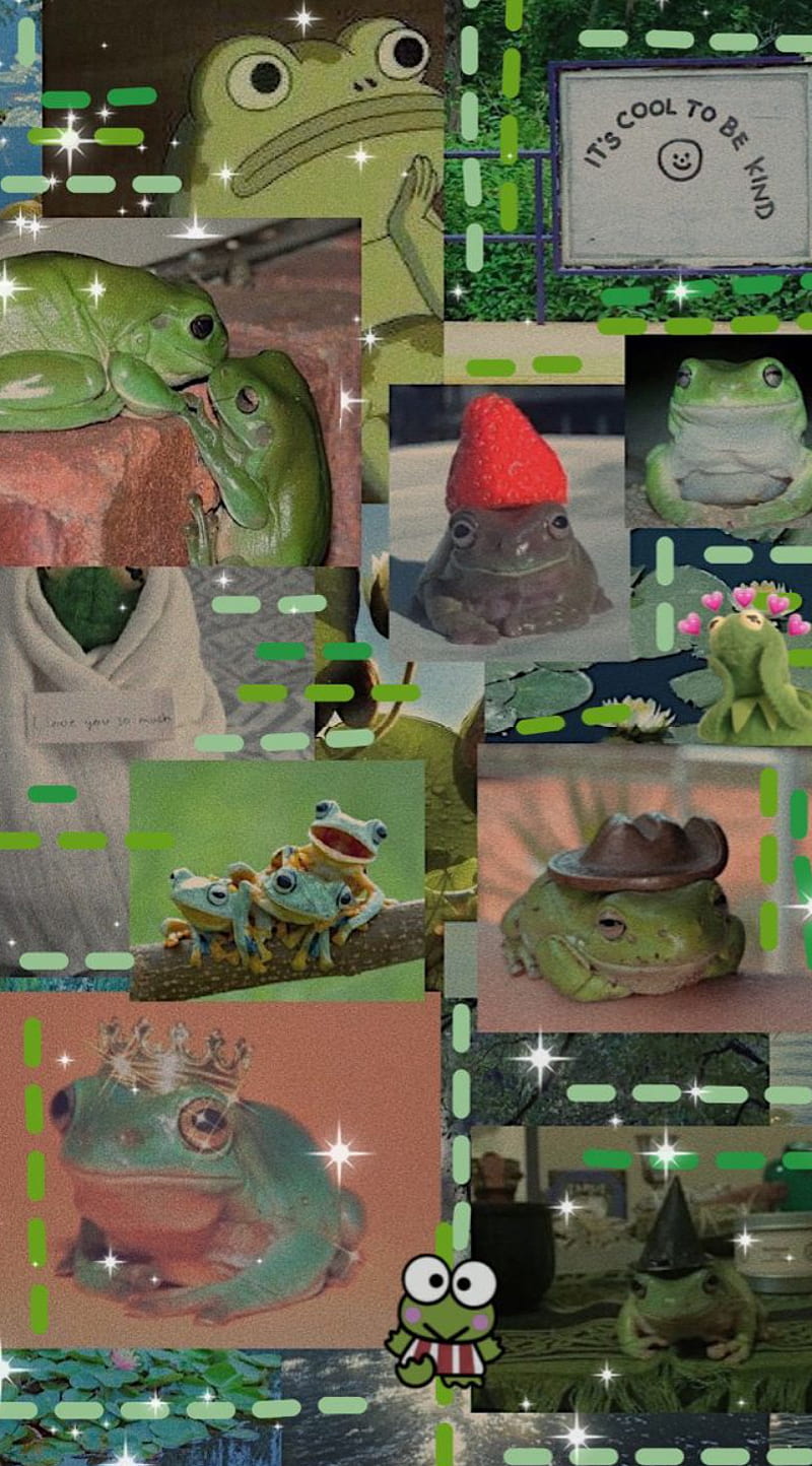 800x1444 Frogs, aesthetic, cottagecore, random frogs, sassy frogs, HD phone wallpaper