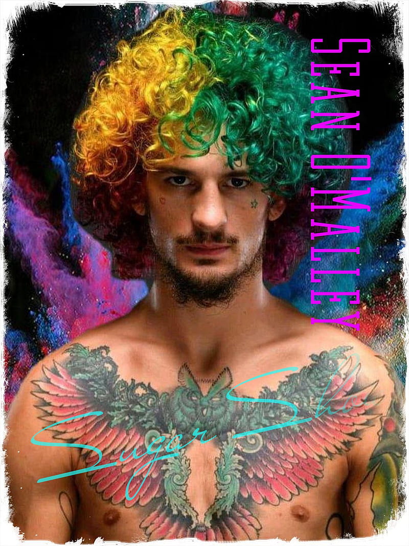 800x1067 720x1208px, free download. Sean o'malley Ufc Ufc, Sean o'malley, Sugar Sean o'malley, HD phone wallpaper