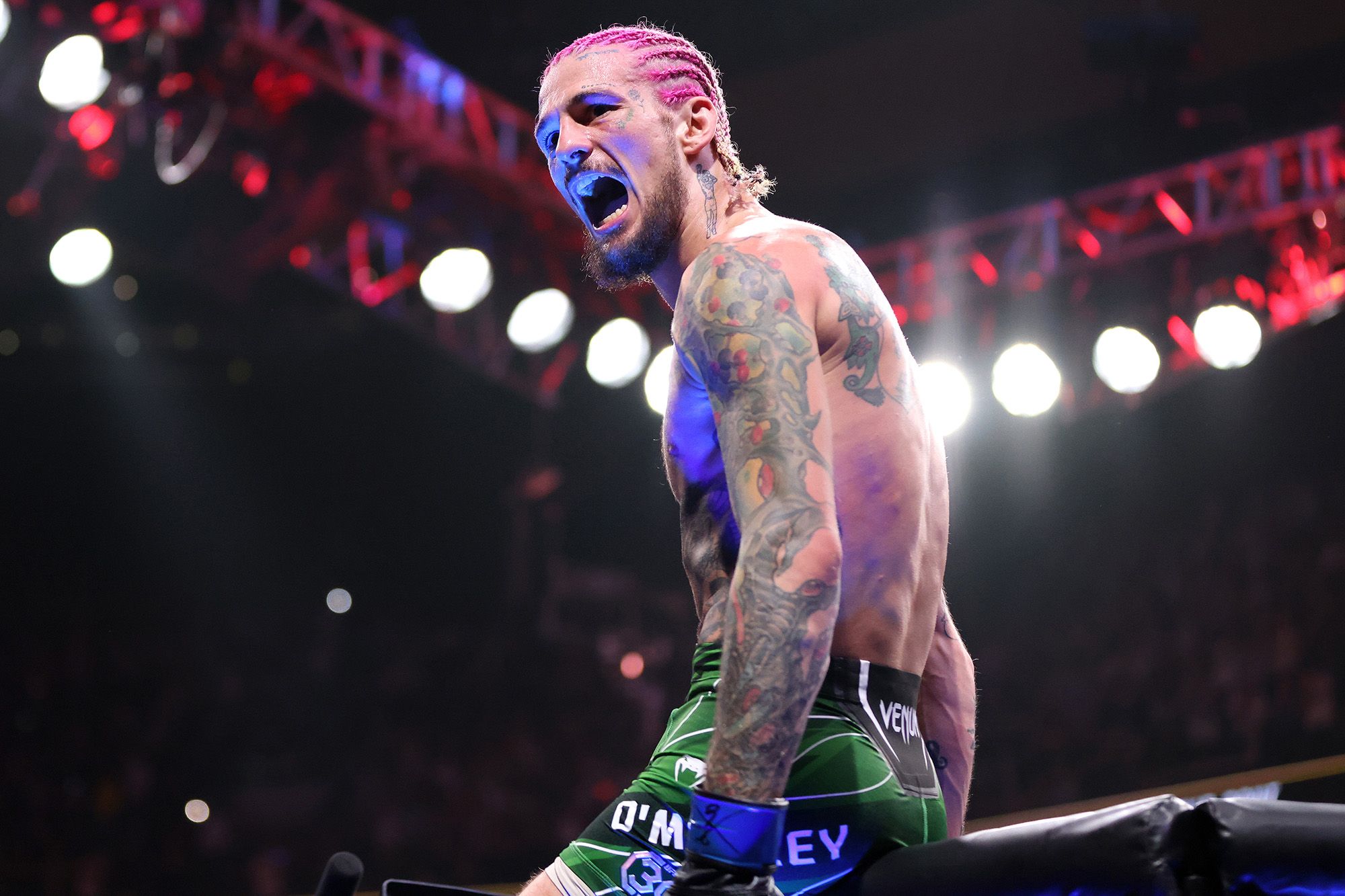 2000x1333 Suga Show tops on TV with Sean O'Malley's UFC title win