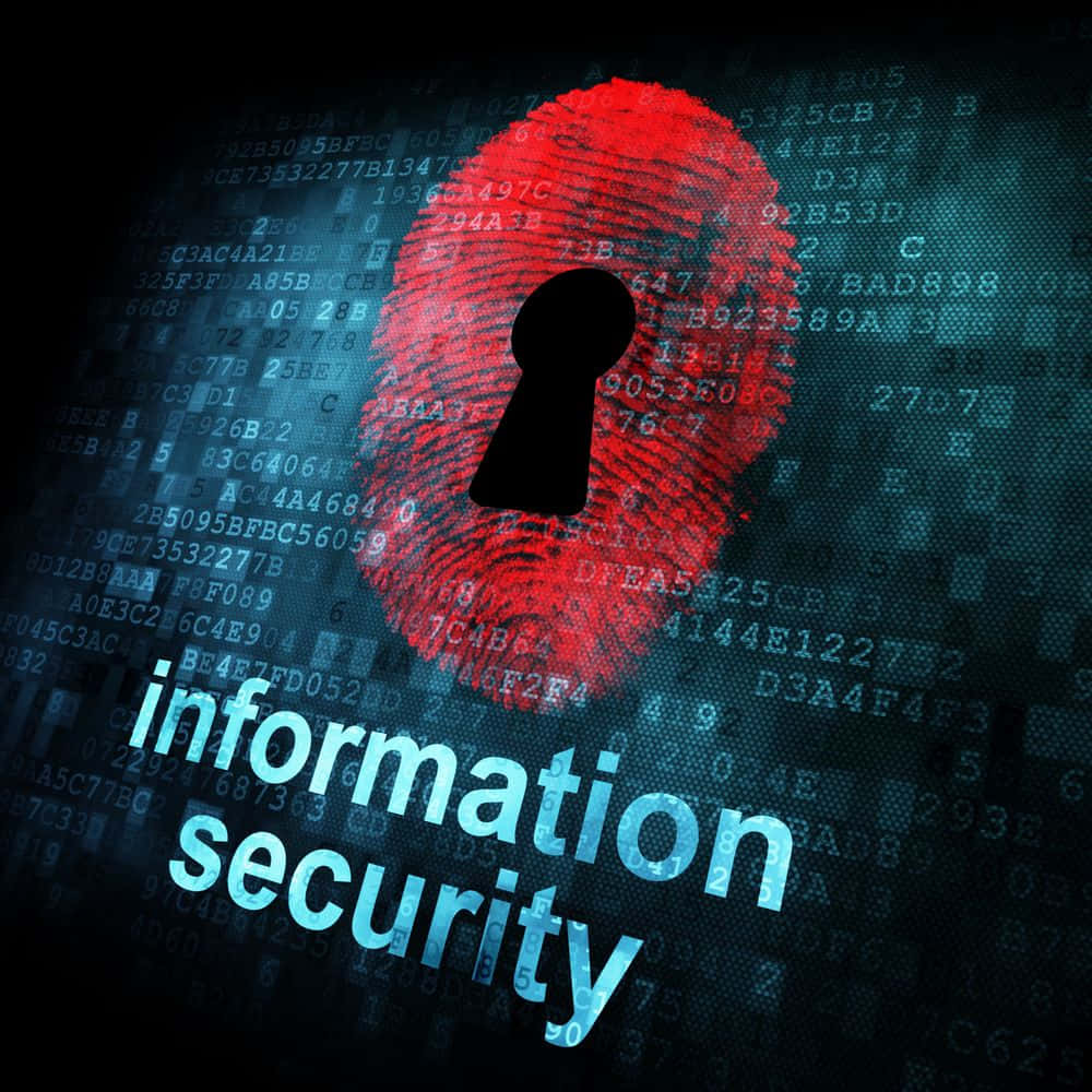 1000x1000 Download Information Security With A Fingerprint On A Digital Background